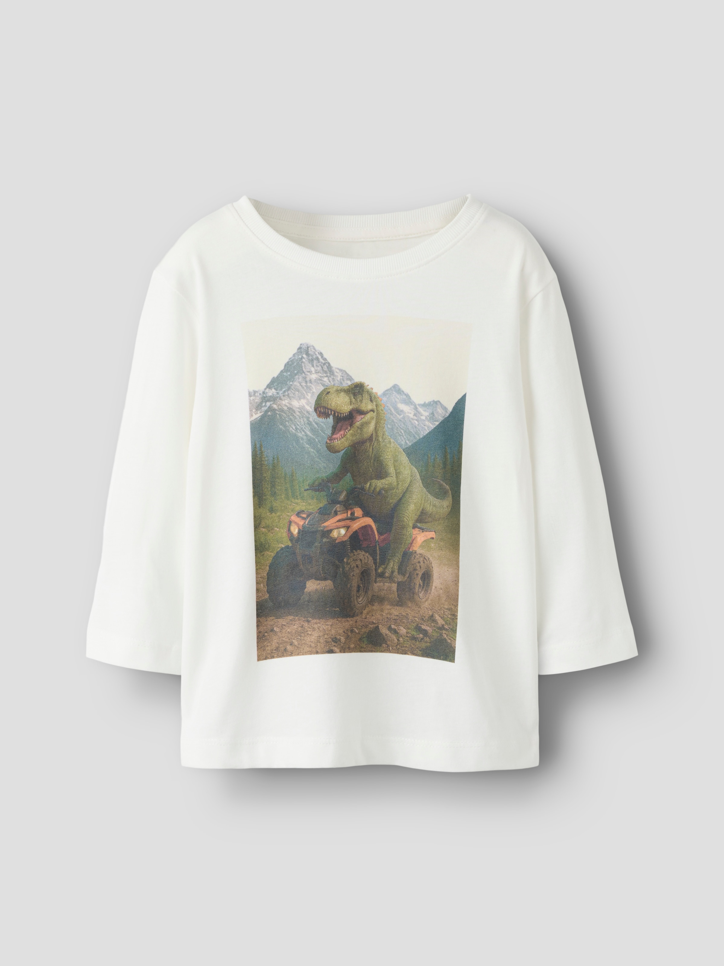 Name It Langarmshirt »NMMVOTO LS NREG TOP« Baumwolle, regular fit