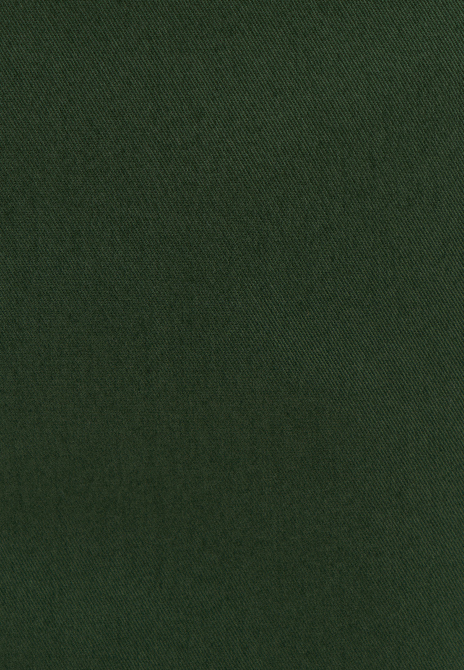 studio seidensticker Shorts »Studio«