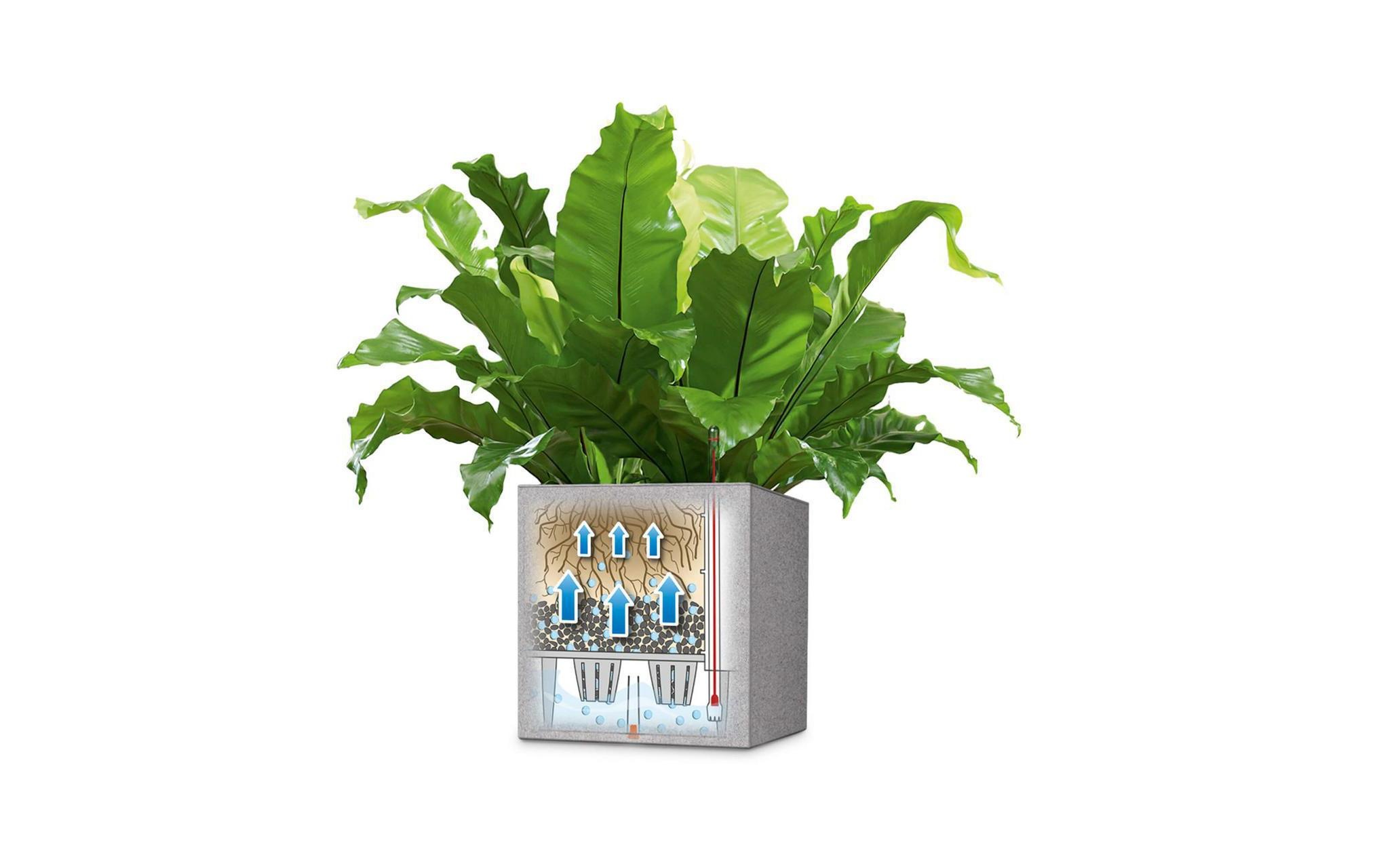   Blumentopf »Lechuza«