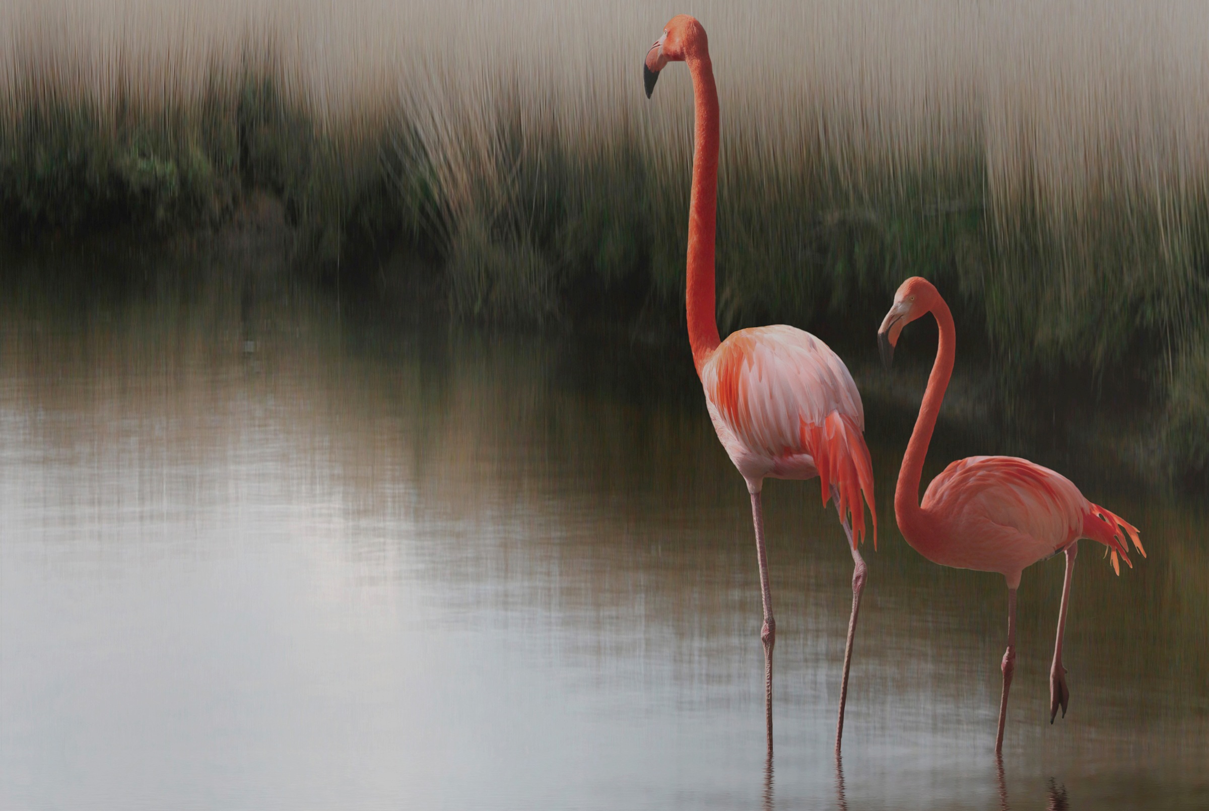 Papermoon Papier peint photo »Photo-Art  ANNA CSERESNJES, SO ZEN«