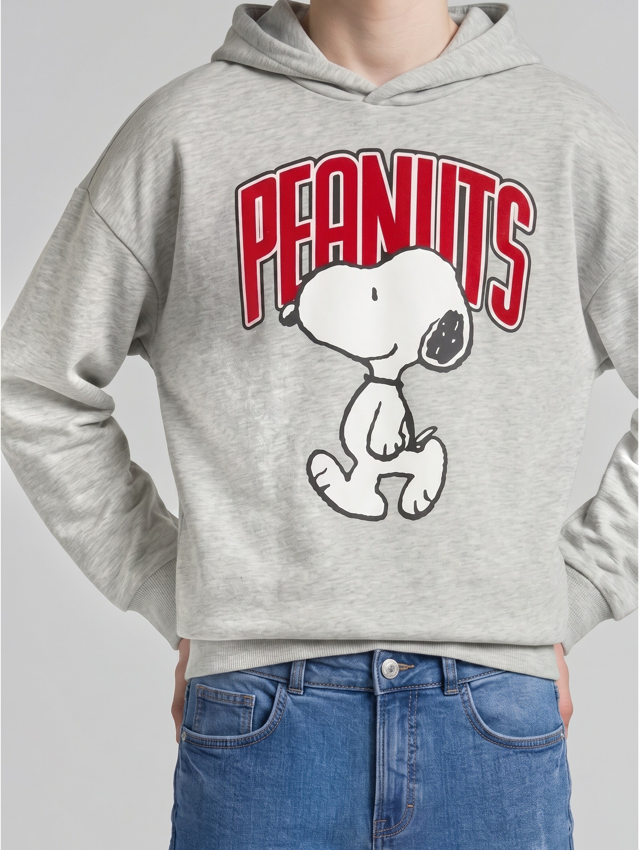 TOM TAILOR Sweat à capuche , mit Peanut-Print / für boys
