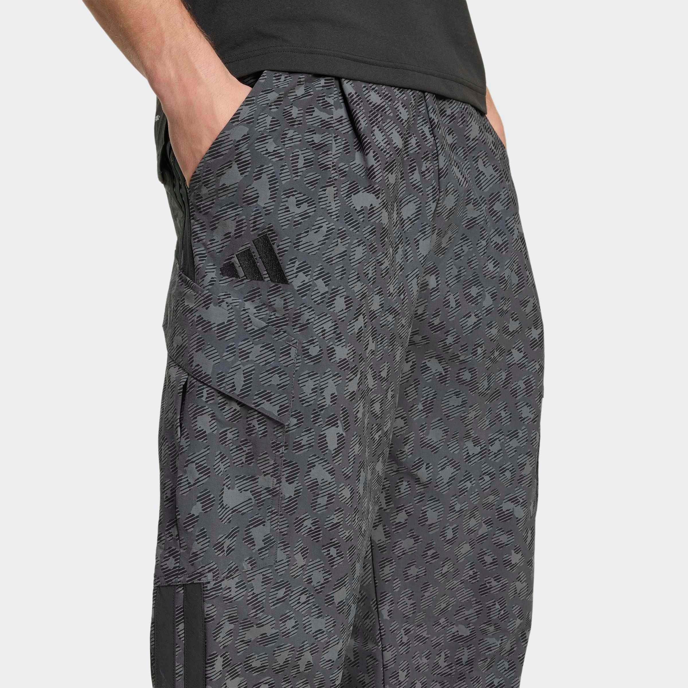 adidas TERREX Pantalon de plein air »CARGO PANTS AOP«  pour adultes