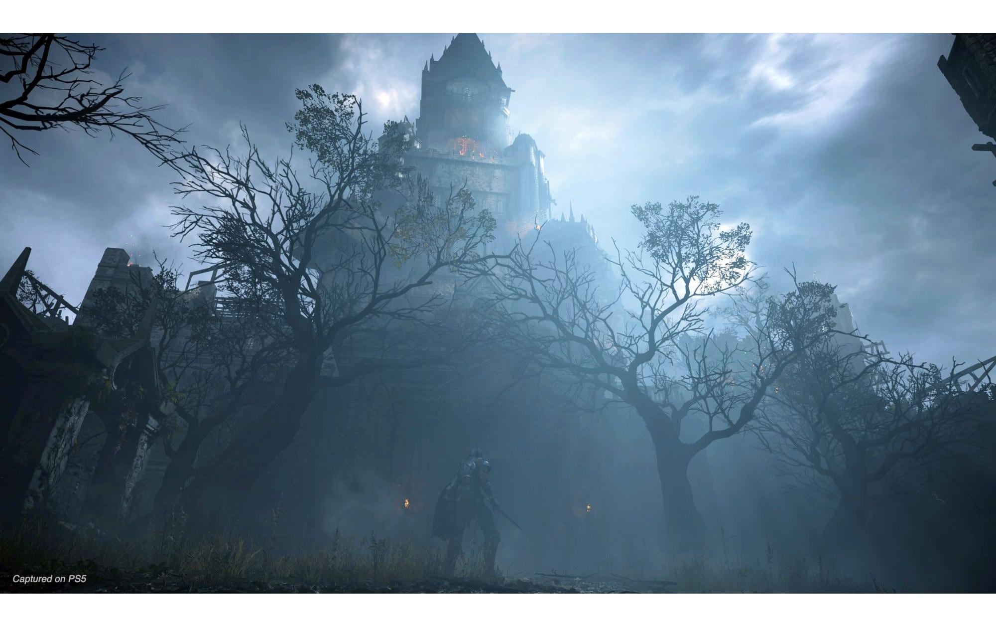 Sony Logiciel de jeu »GAME Demons Souls« PlayStation 5