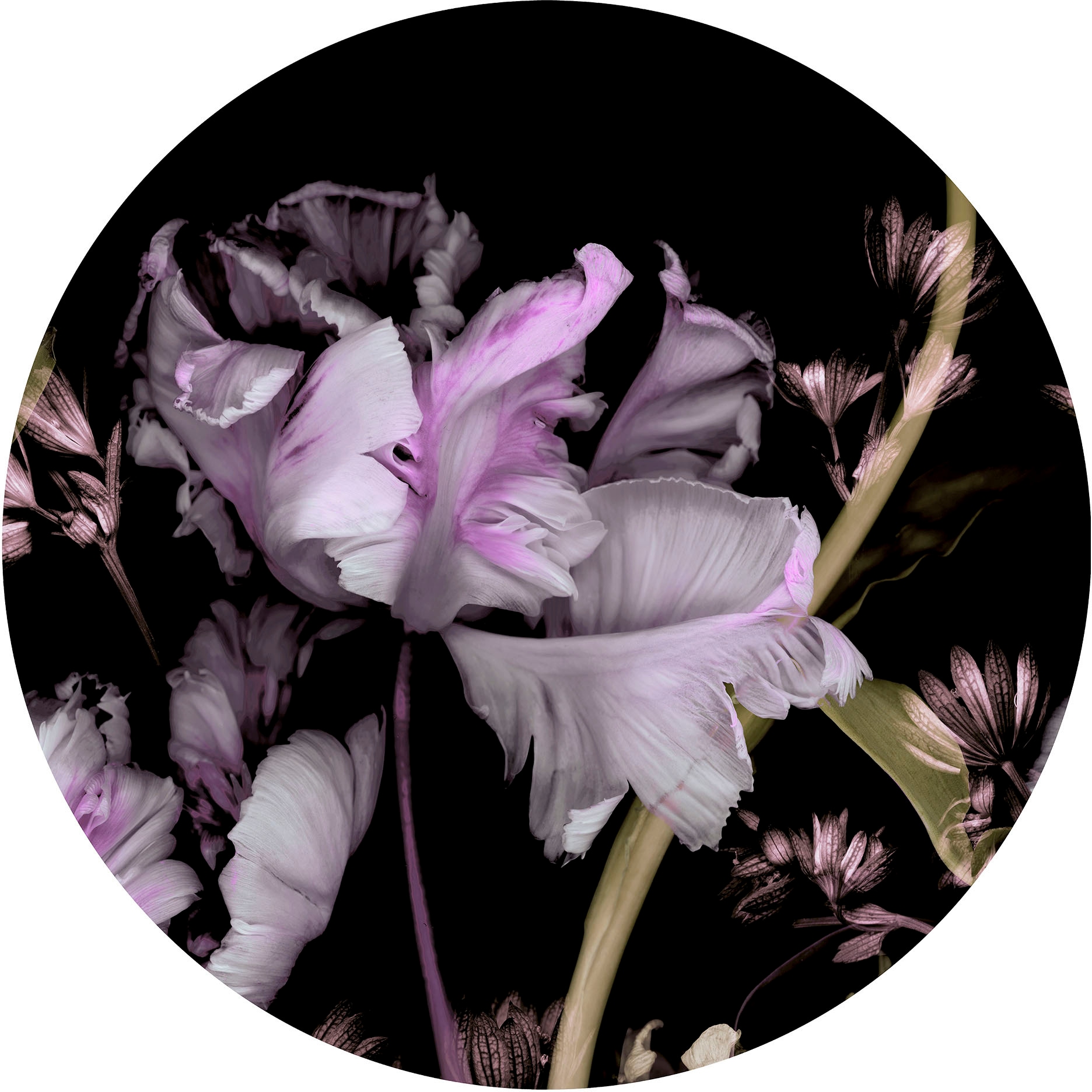 Fashion for walls Papier peint photo »Tiao Hua« floral lisse sans phtalates