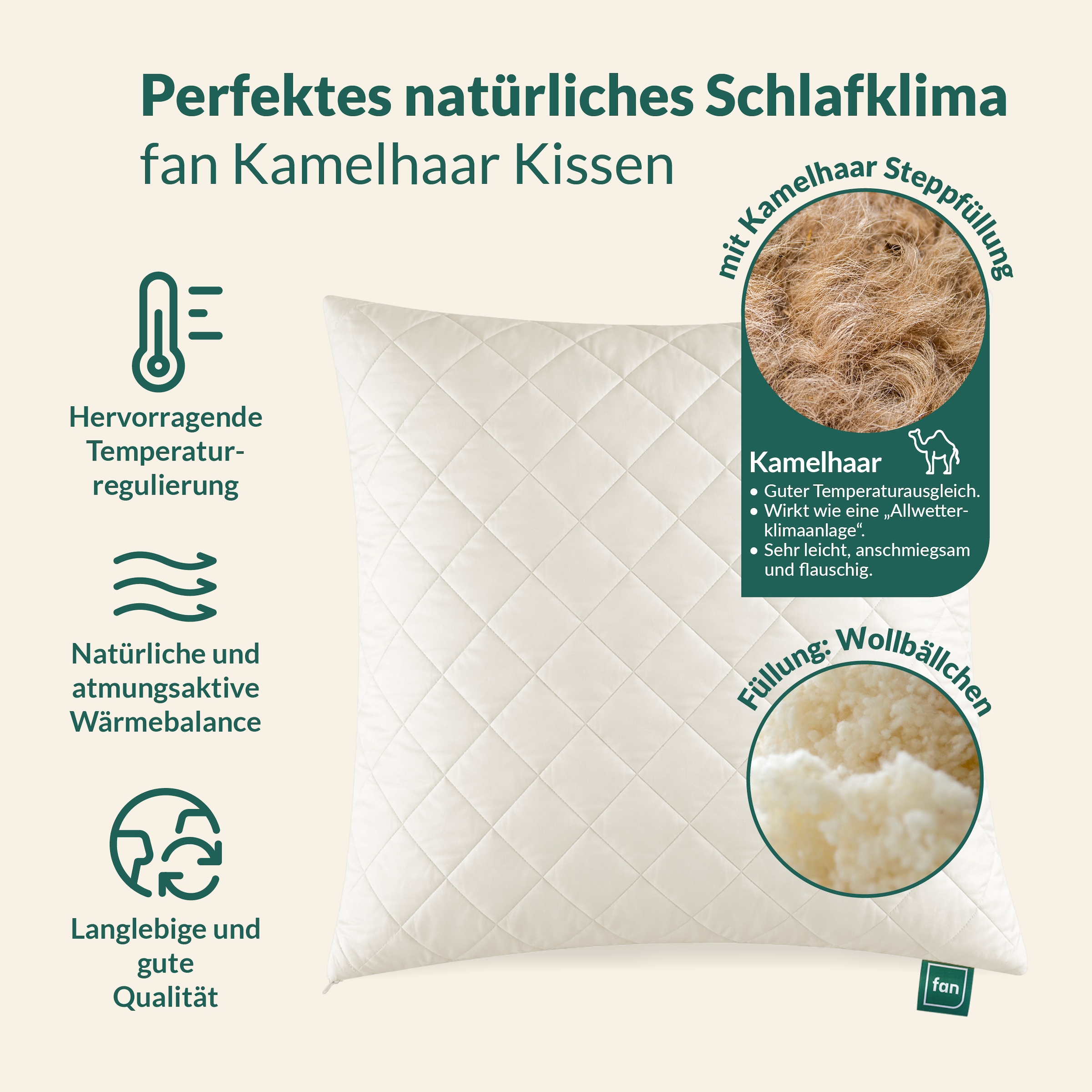 fan Naturfaserkissen »Gobi, Kopfkissen in 40x80 & 80x80 cm, Made in Germany« Füllung: 97Wolle3sonstigeFasern 1 Stk. tlg. Kissenbezug aus Baumwolle mit Kamelhaar versteppt, Füllung aus Wolle