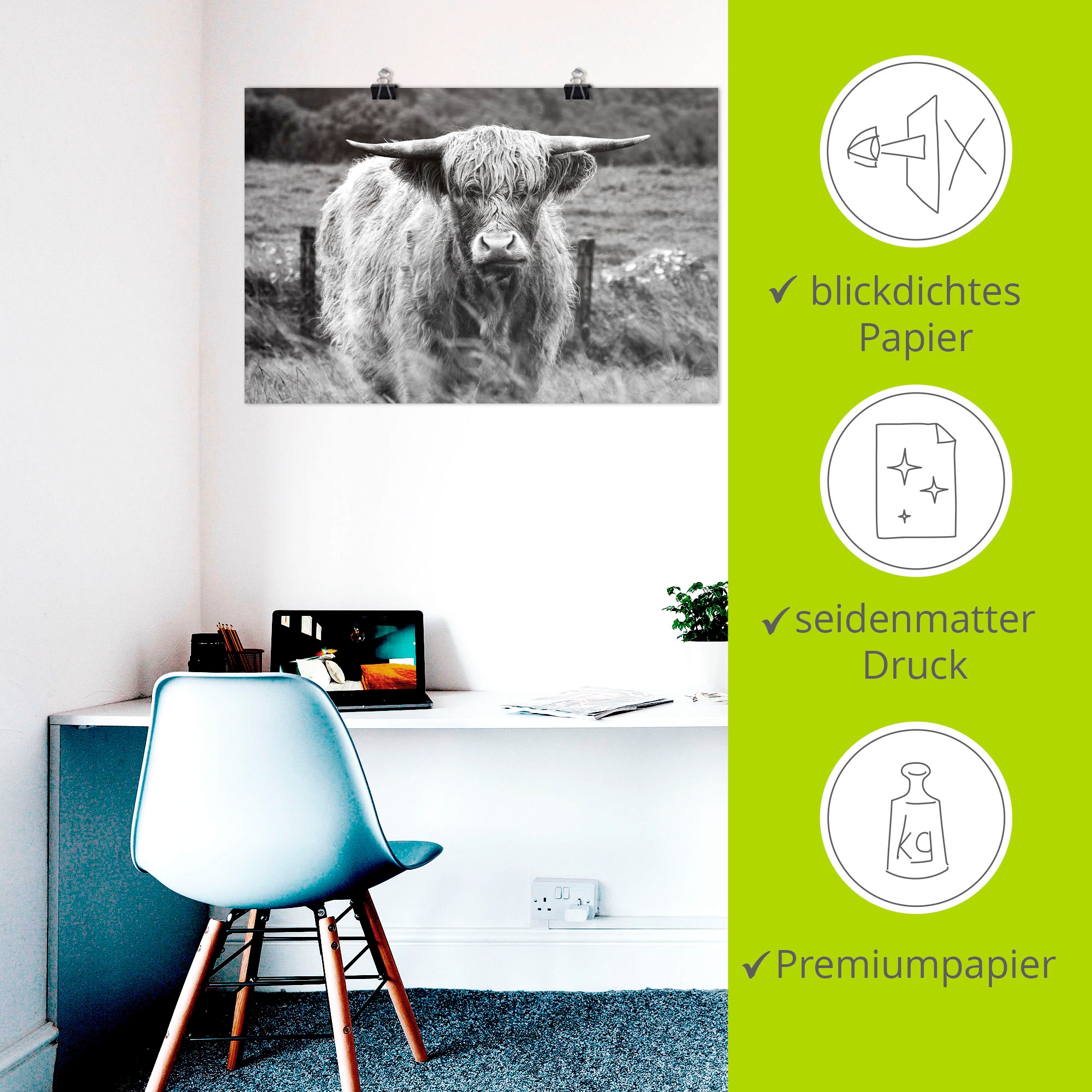 Artland Wandbild »Happy Highland« Wildtiere 1 Stk. tlg. als Alubild, Leinwandbild, Poster, Wandaufkleber in verschied. Grössen