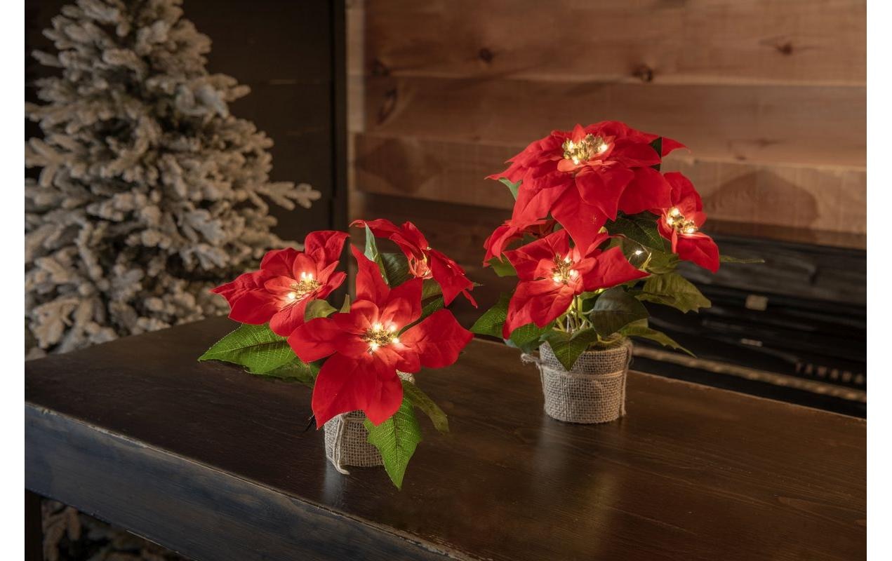 STT LED Baum »Poinsettia« 1 Stk.