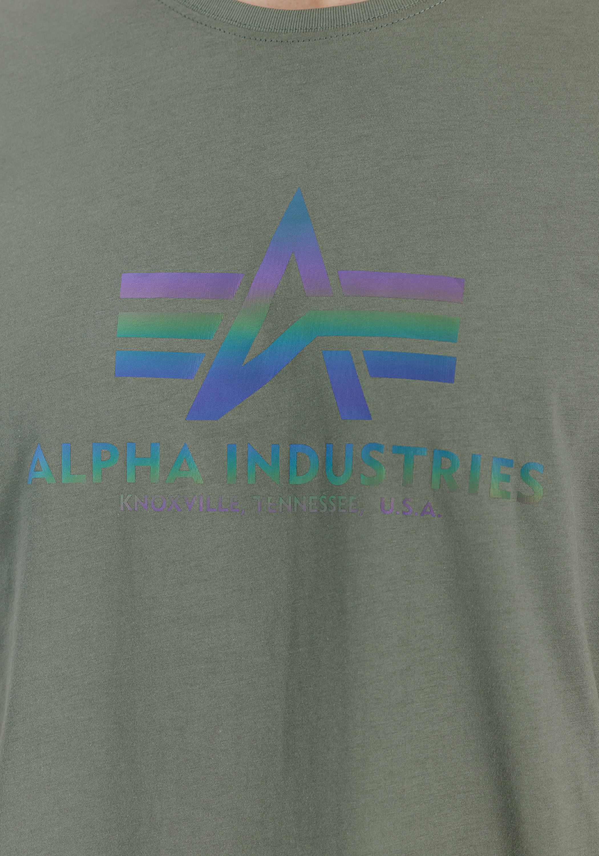 Alpha Industries T-shirt »Basic T-Shirt BL Rainbow Ref.«