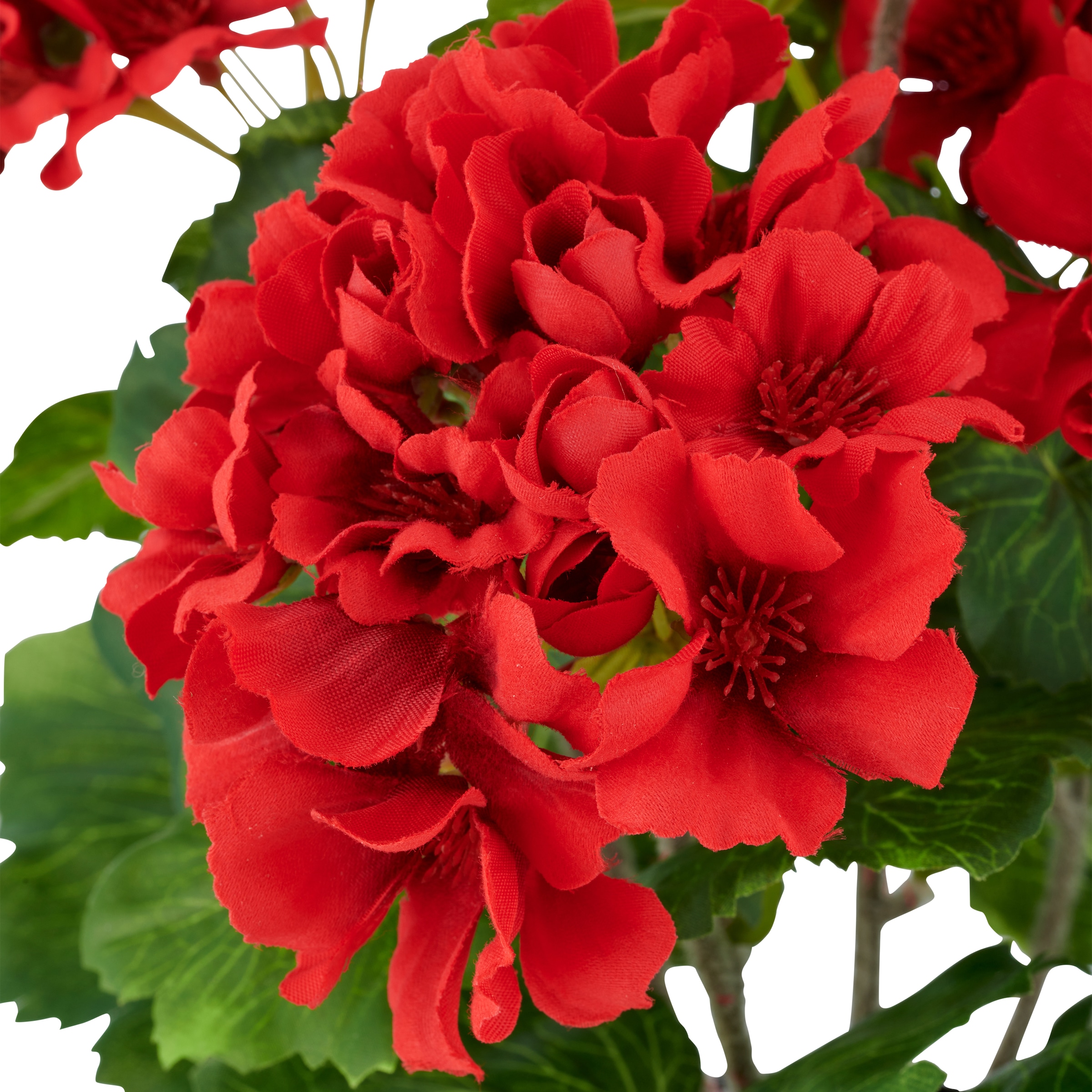 Creativ green Plante artificielle »Geranie« in UV-beständiger Ausführung