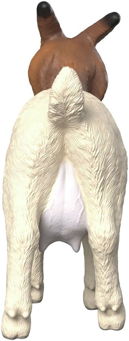 Schleich® Personnage de jeu »FARM WORLD, Burenziege (14929)«