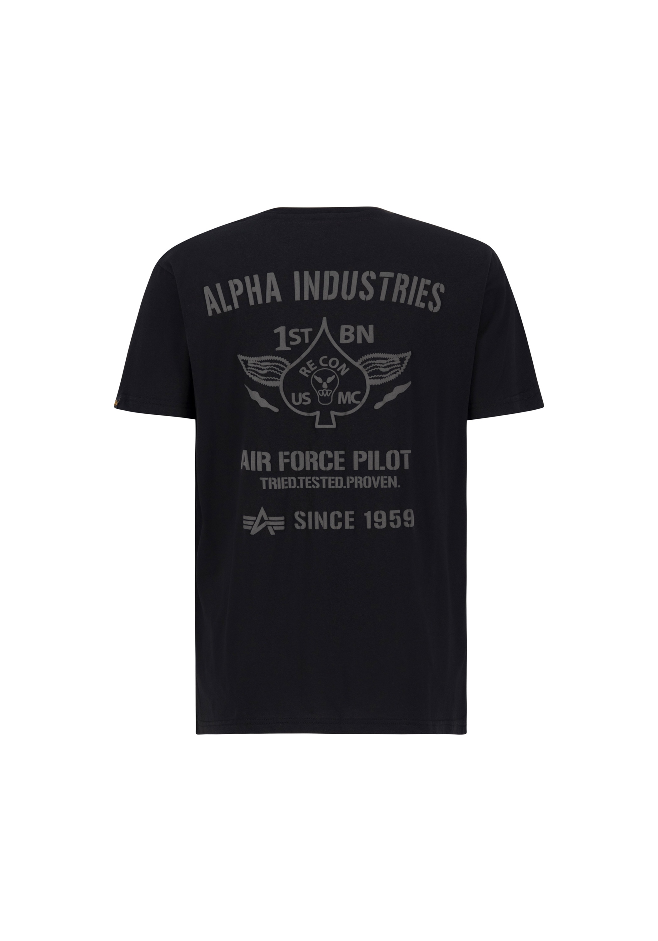 Alpha Industries T-Shirt »Air Force Pilot T-Shirt«