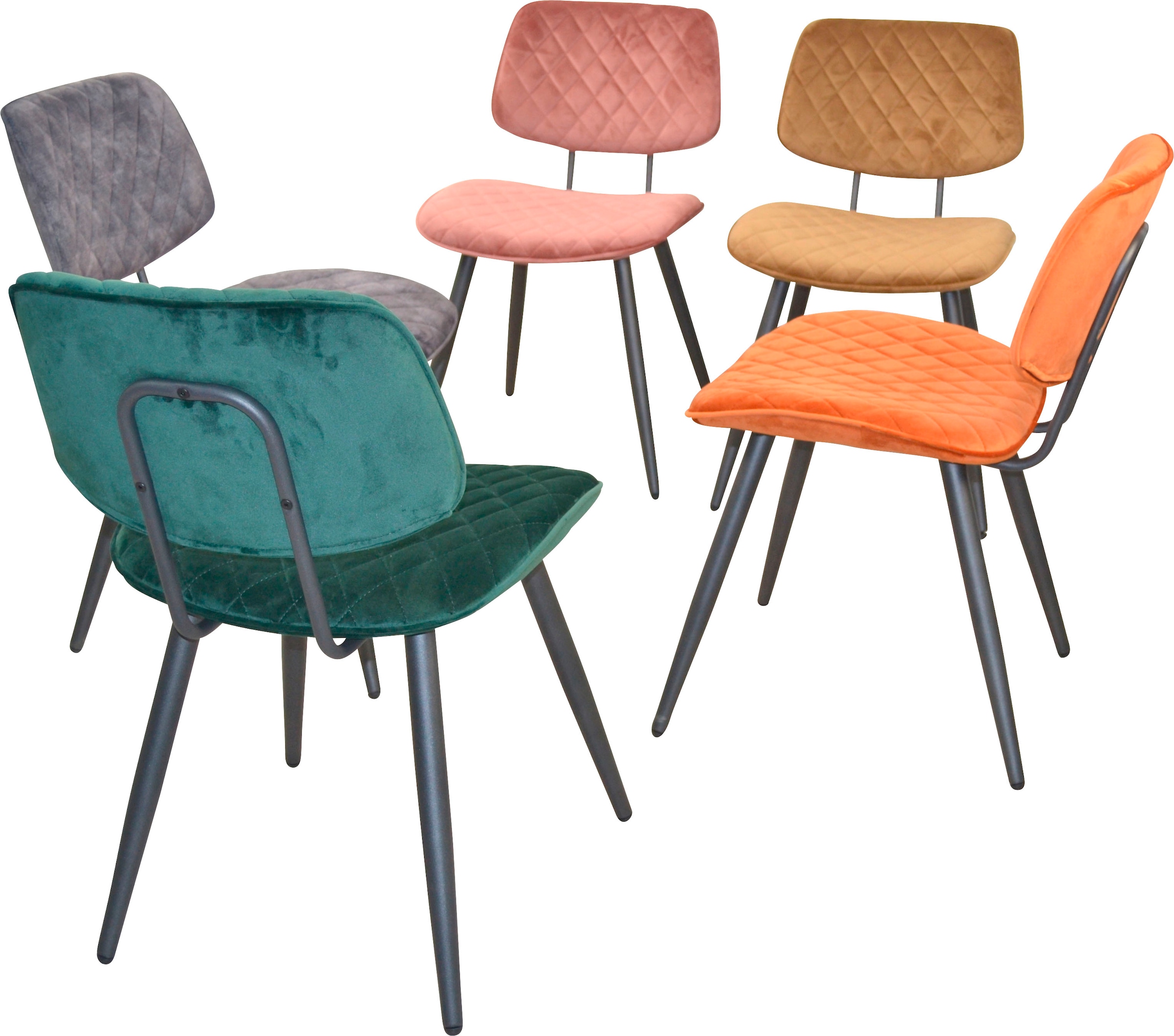 INOSIGN Chaise rembourrée (Set) 1 cuisGestell aus Stahlrohr, Sitz und Rücken schaumstoffgepolstert