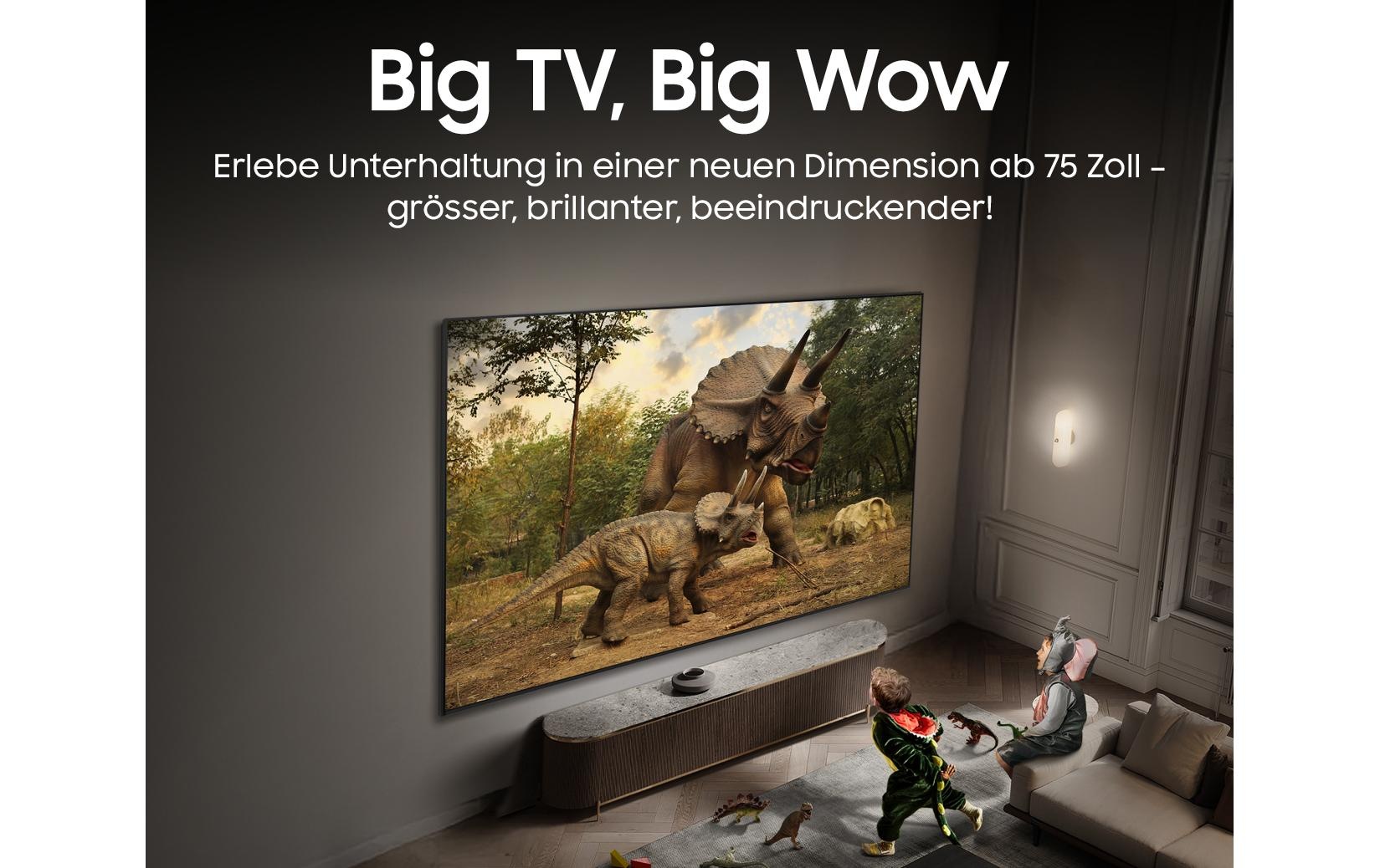 Samsung Téléviseur OLED »QE77S95F 77« 195 cm/77 ″