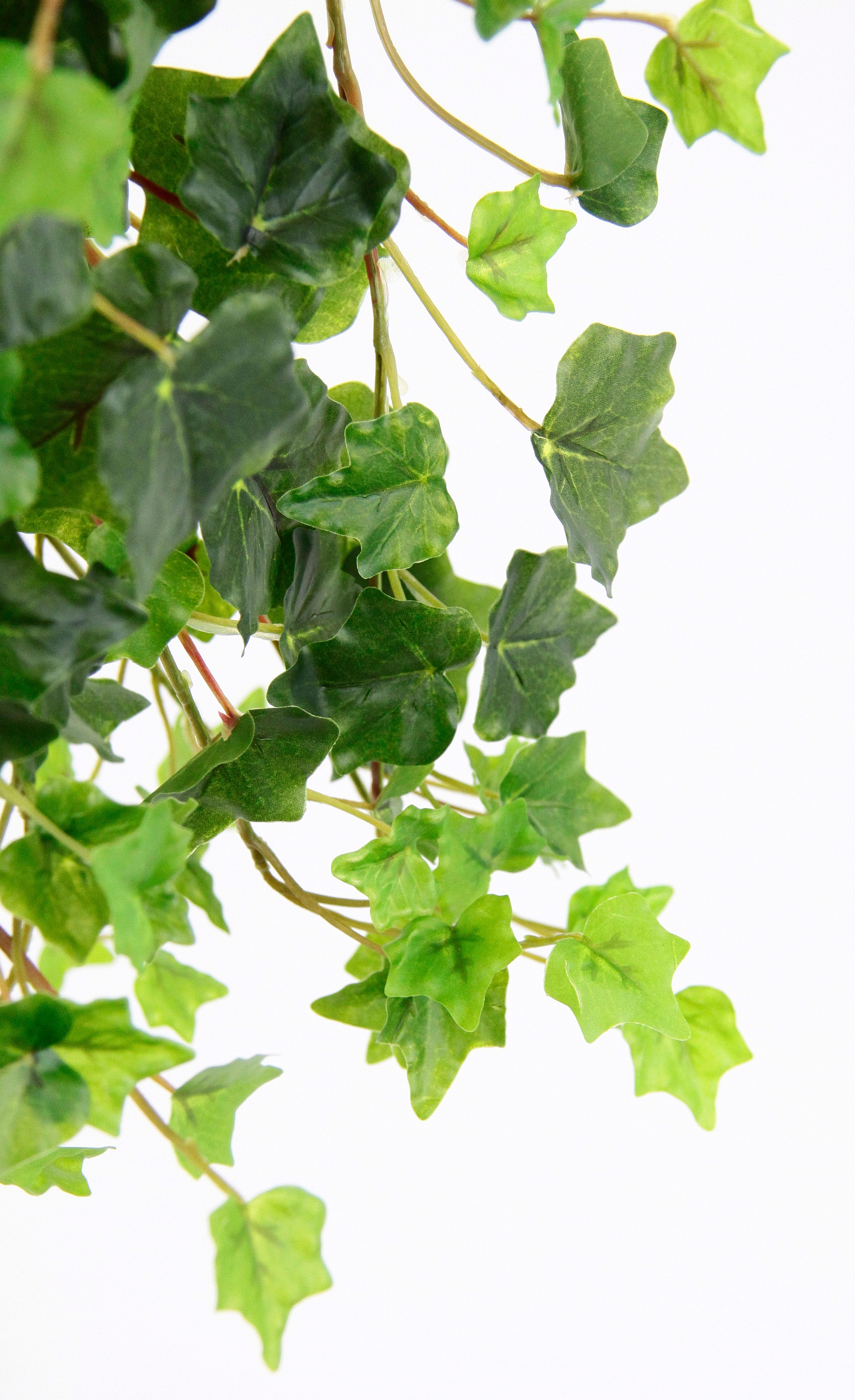 I.GE.A. Plante artificielle »Efeuhänger« 2er Set