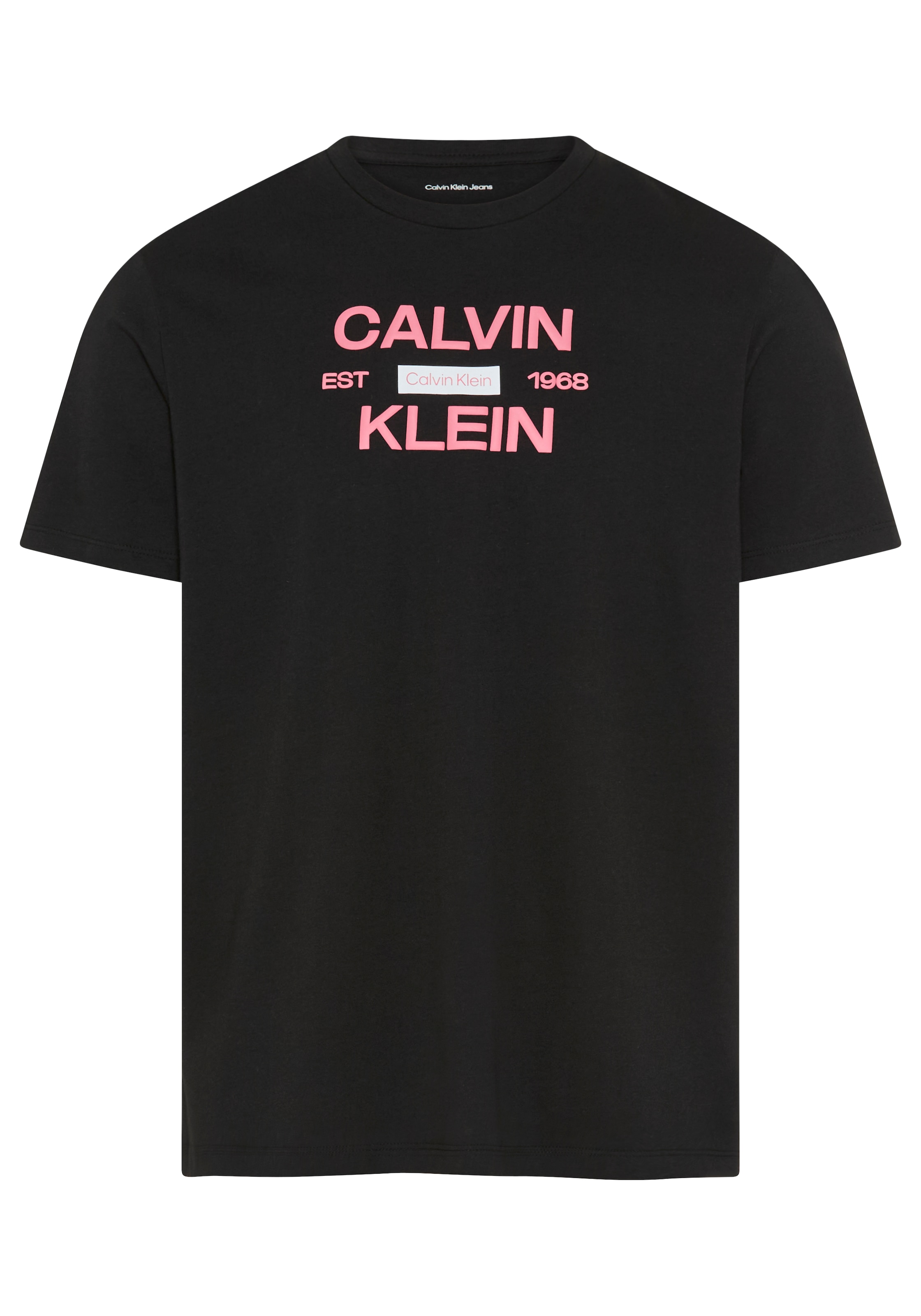 Calvin Klein Jeans T-Shirt »CALVINKLEIN STACK GRAP« Regular fit mit Print