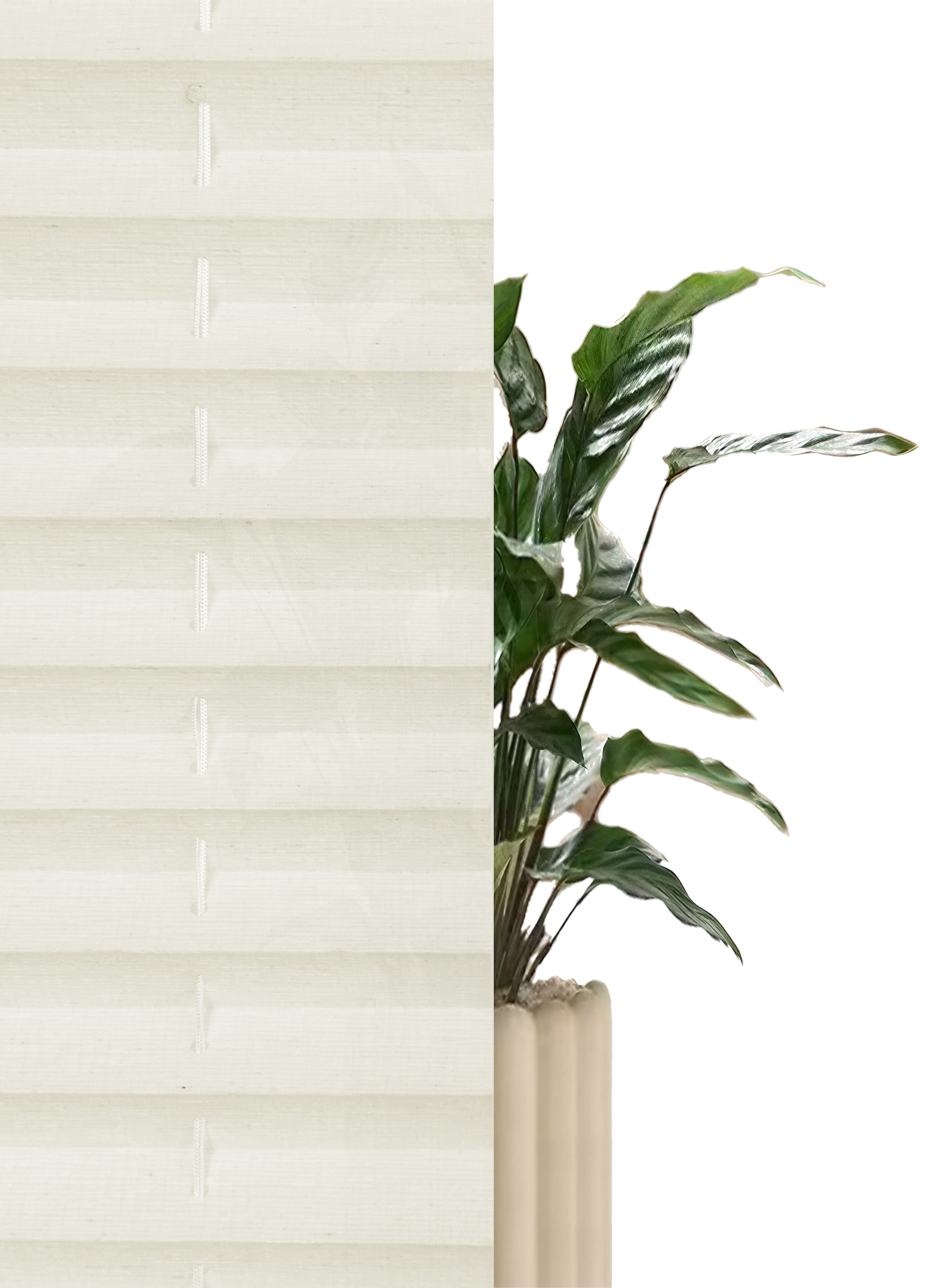GOODproduct Plissee »NELLIA« Lichtschutz ohne Bohren freihängend Klemmfix, feine Struktur, NEUHEIT für Fenster & Tür, Lichtschutz