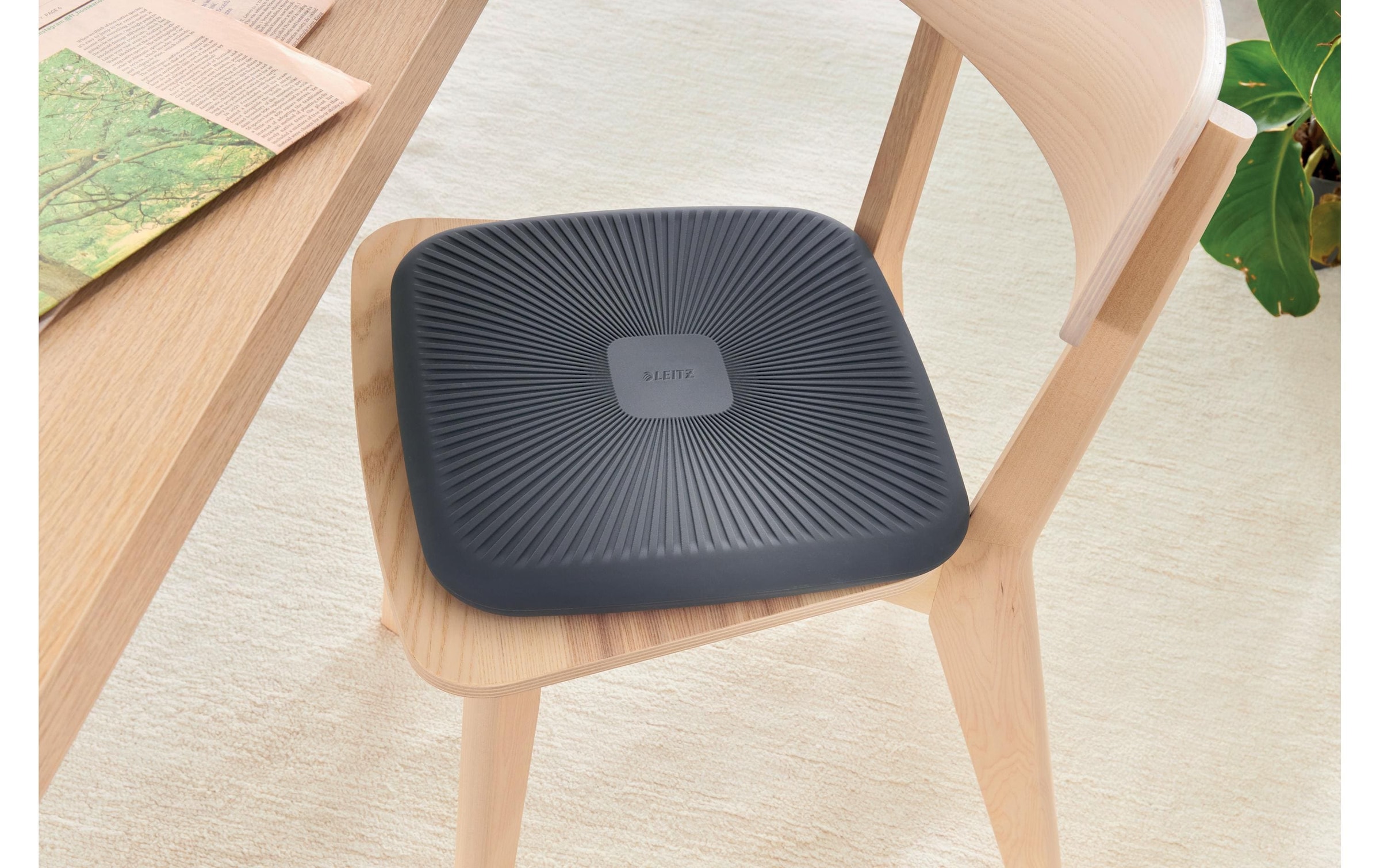 LEITZ Coussin d'équilibre »Ergo Active«