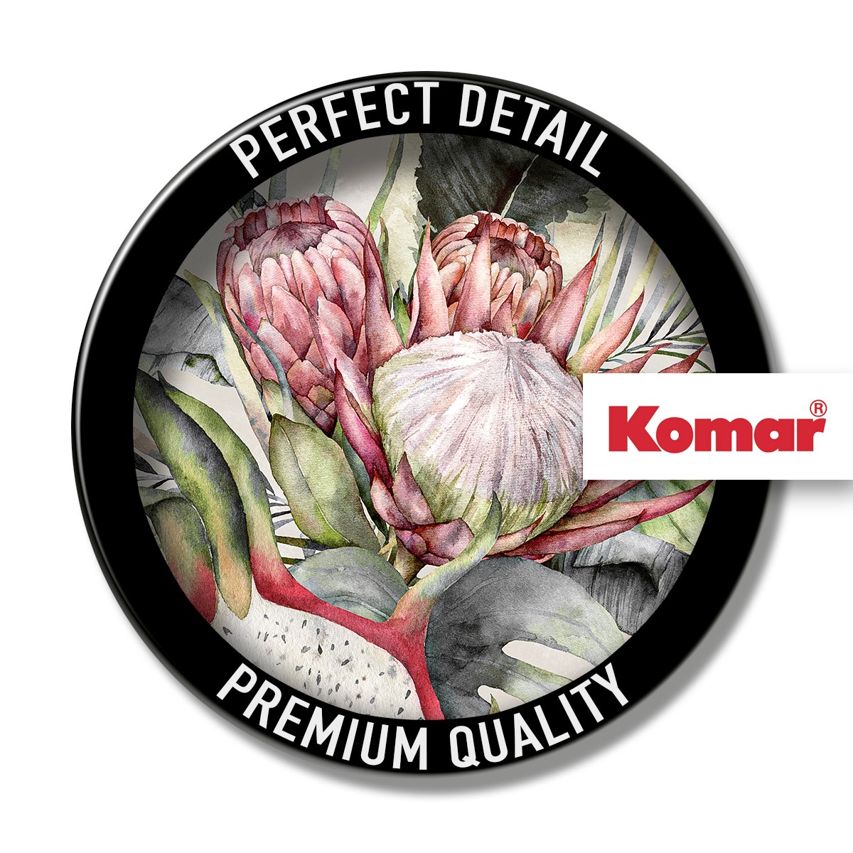 Komar Tableau sur toile »Sweet Pitaya - Grösse 60 x 60 cm« 1 cuis tlg. Keilrahmenbild mi Echtholzrahmen