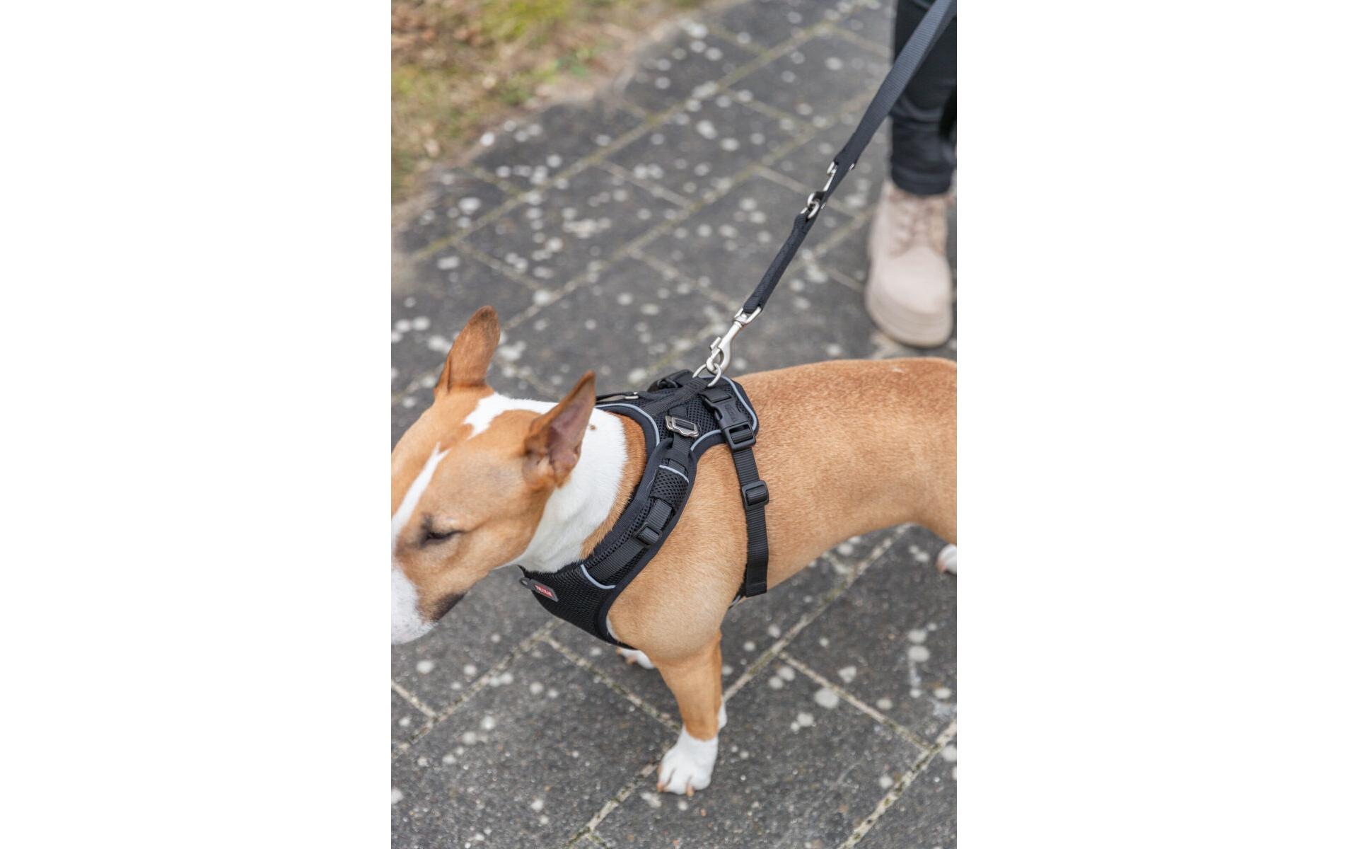 TRIXIE Hunde-Geschirr »Premium FlexMesh Geschir L« Mesh Geschirr mit spezellem Schnitt für kurze, kompakte Hunde