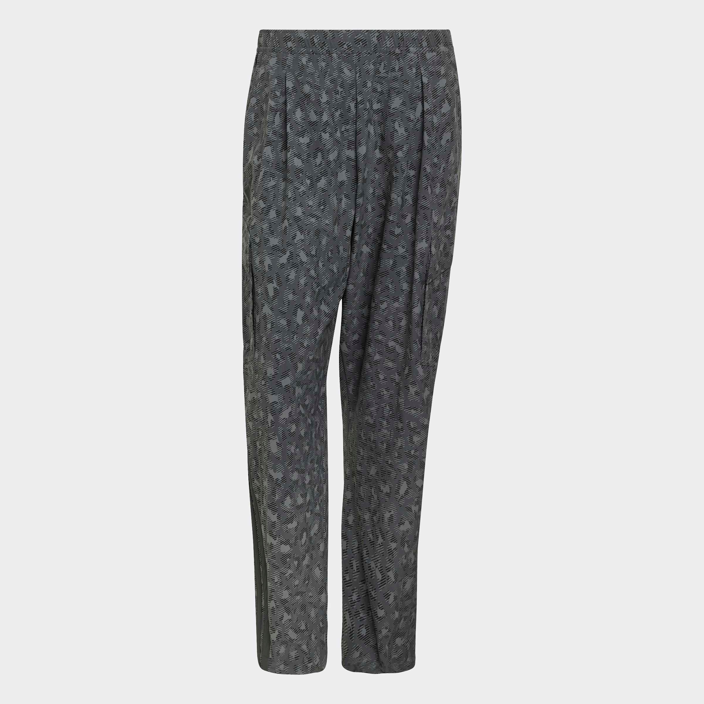 adidas TERREX Pantalon de plein air »CARGO PANTS AOP«  pour adultes