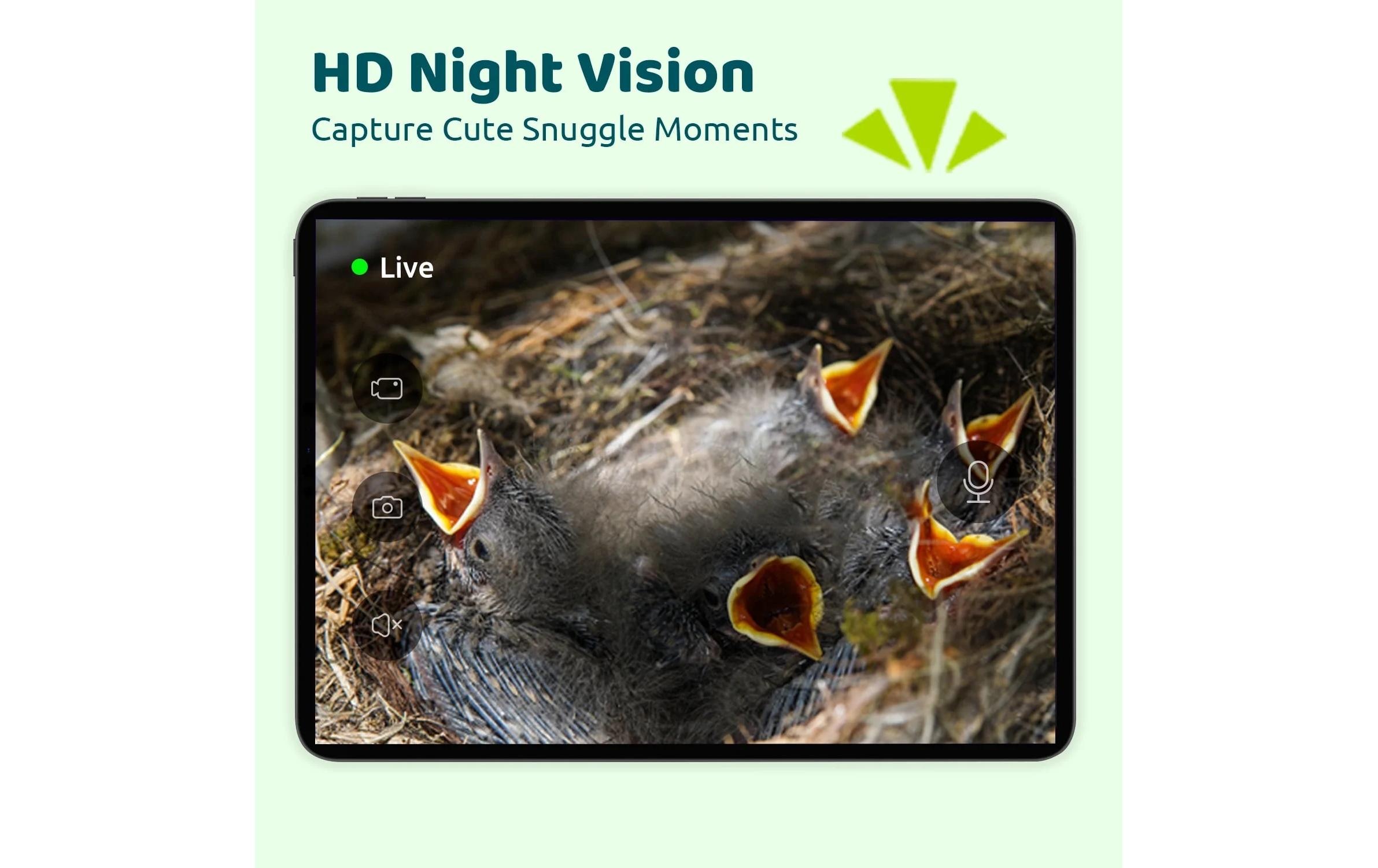 Birdfy Maison des oiseaux »Nistkasten mit Kamera und Solar«