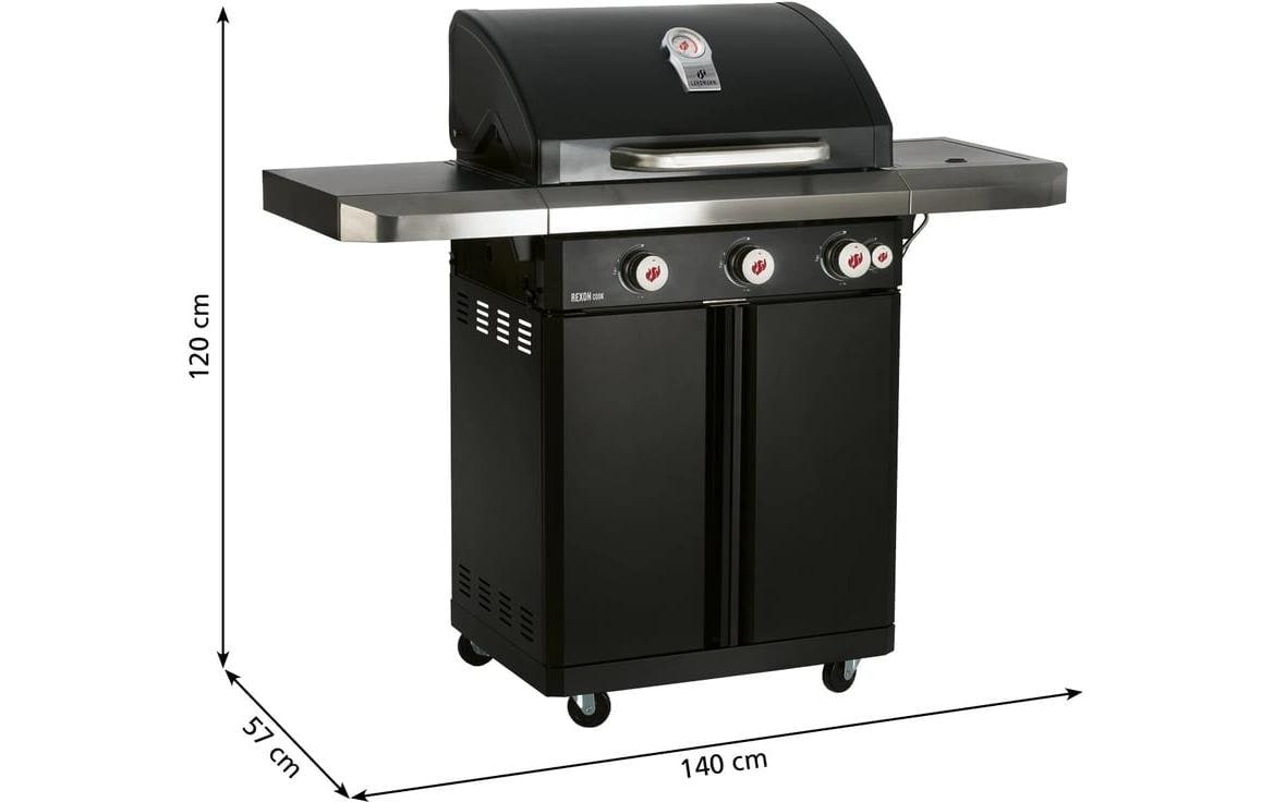 LANDMANN Barbecue à gaz »Rexon PTS 3,1«