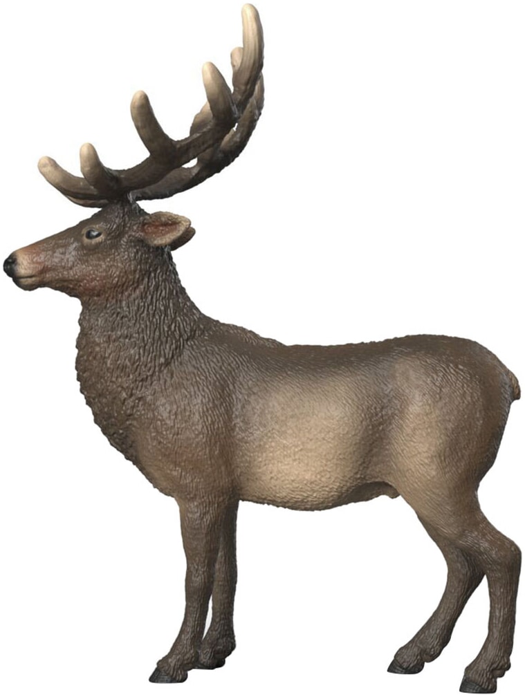 Schleich® Personnage de jeu »WILD LIFE, Amerikanischer Rothirsch (14992)«