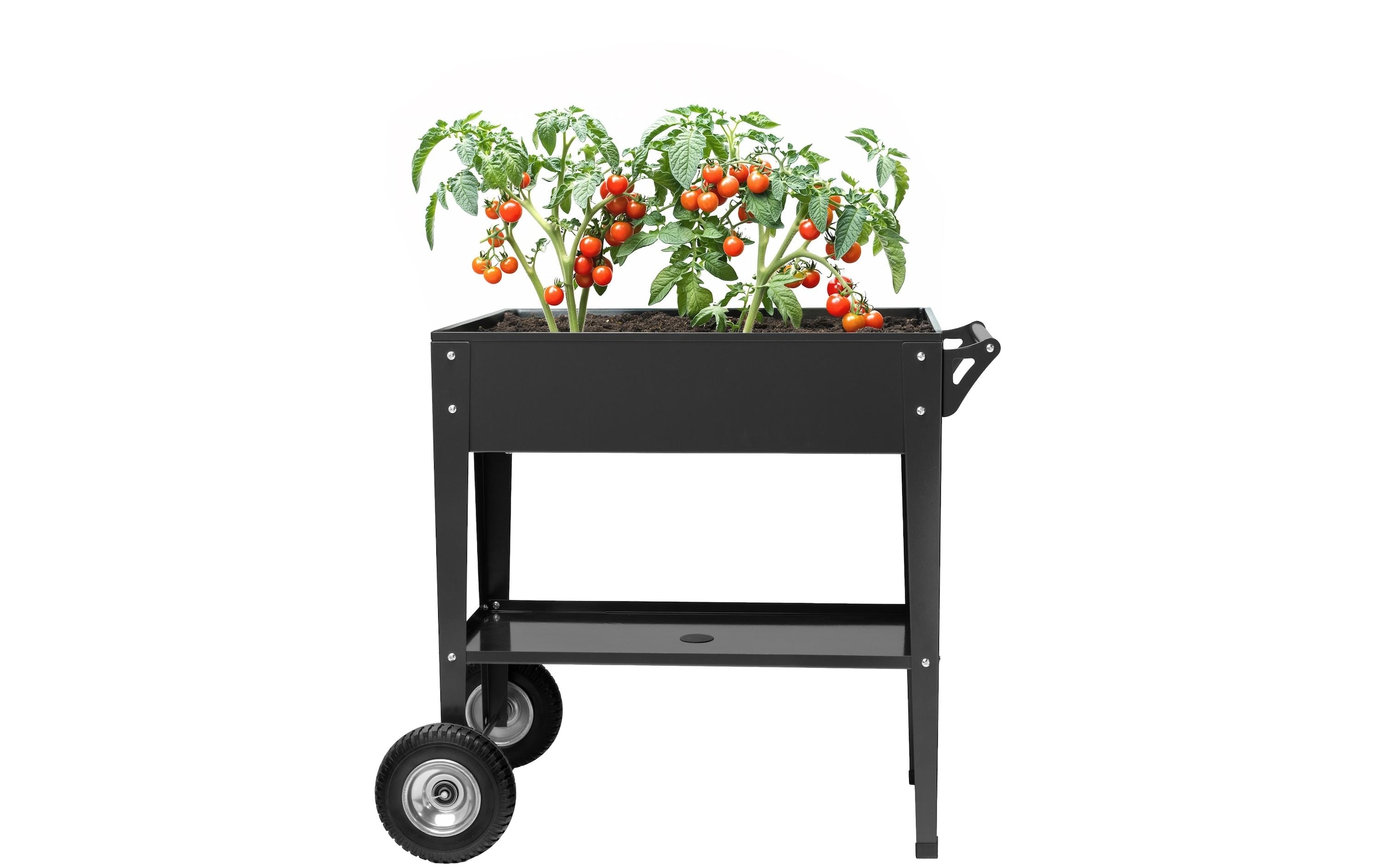 Cocon Lit surélevé »mit Räder 85 x 50 x 80 cm«