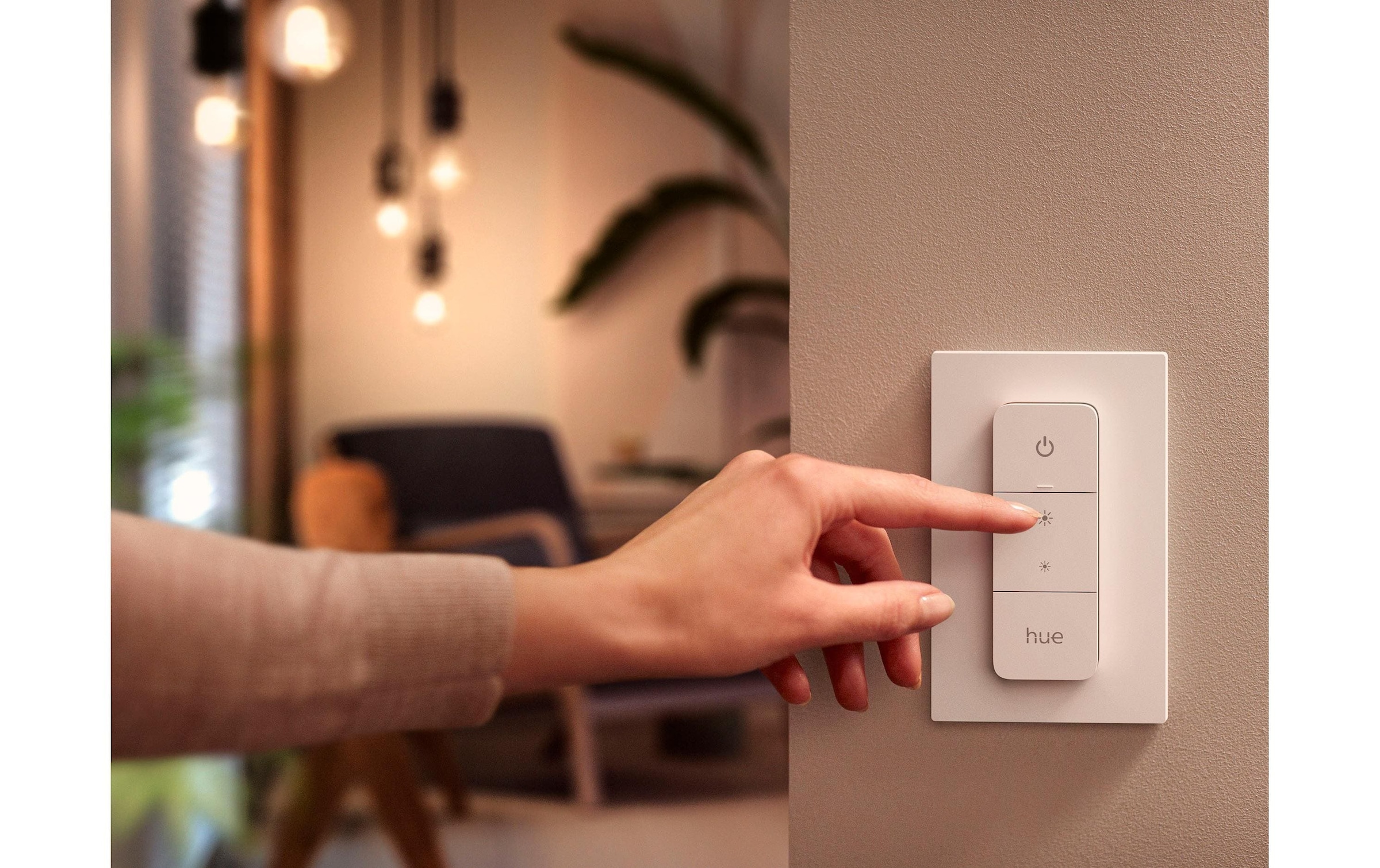Philips Hue Lampe suspendue LED »White Col. Amb. Ensis Pendelleuchte und DimmSwitch« Module LED Blanc froid | RVB | blanc chaud | blanc neutre