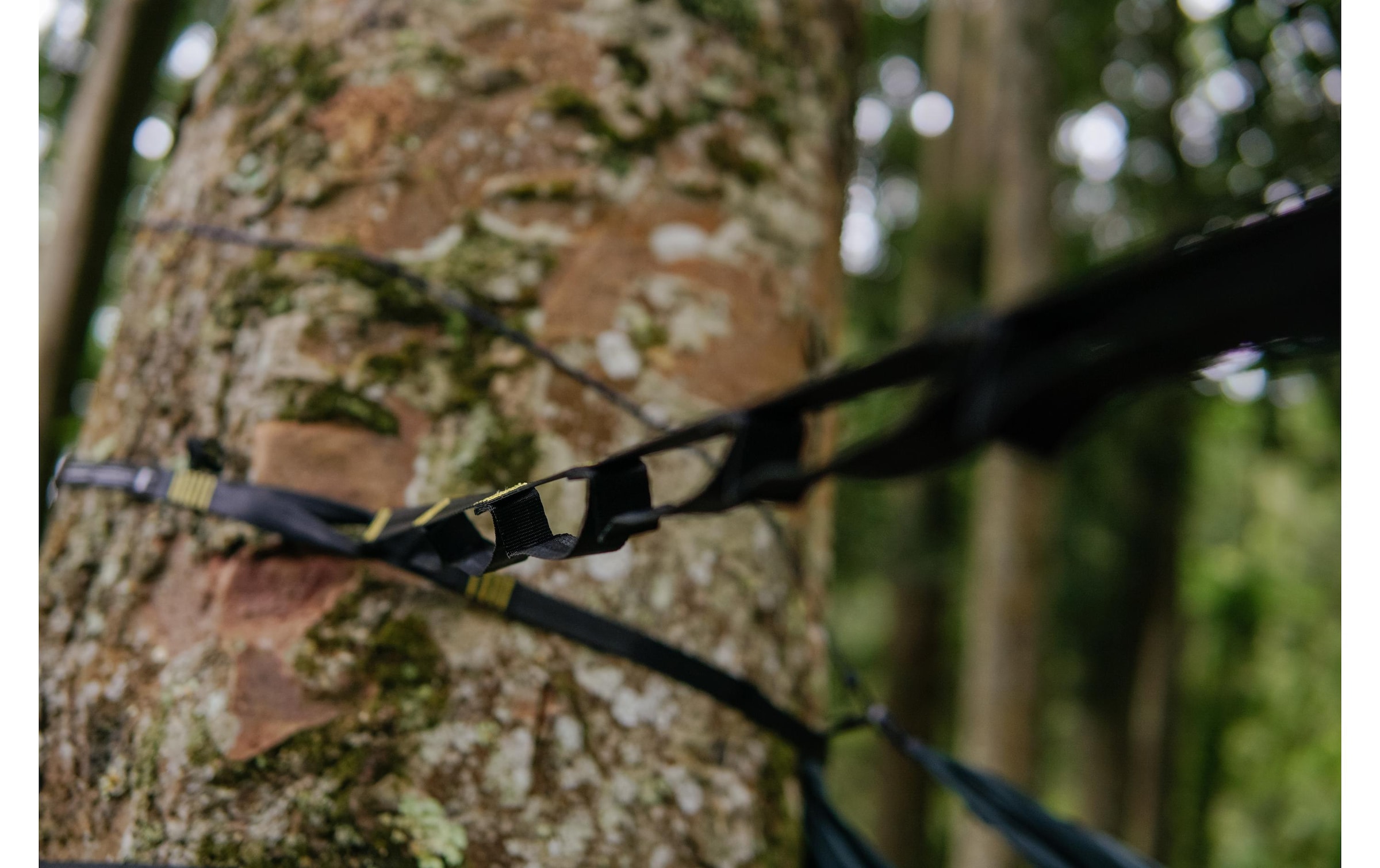   Wandhalter »ticket to the moon Moonstraps«