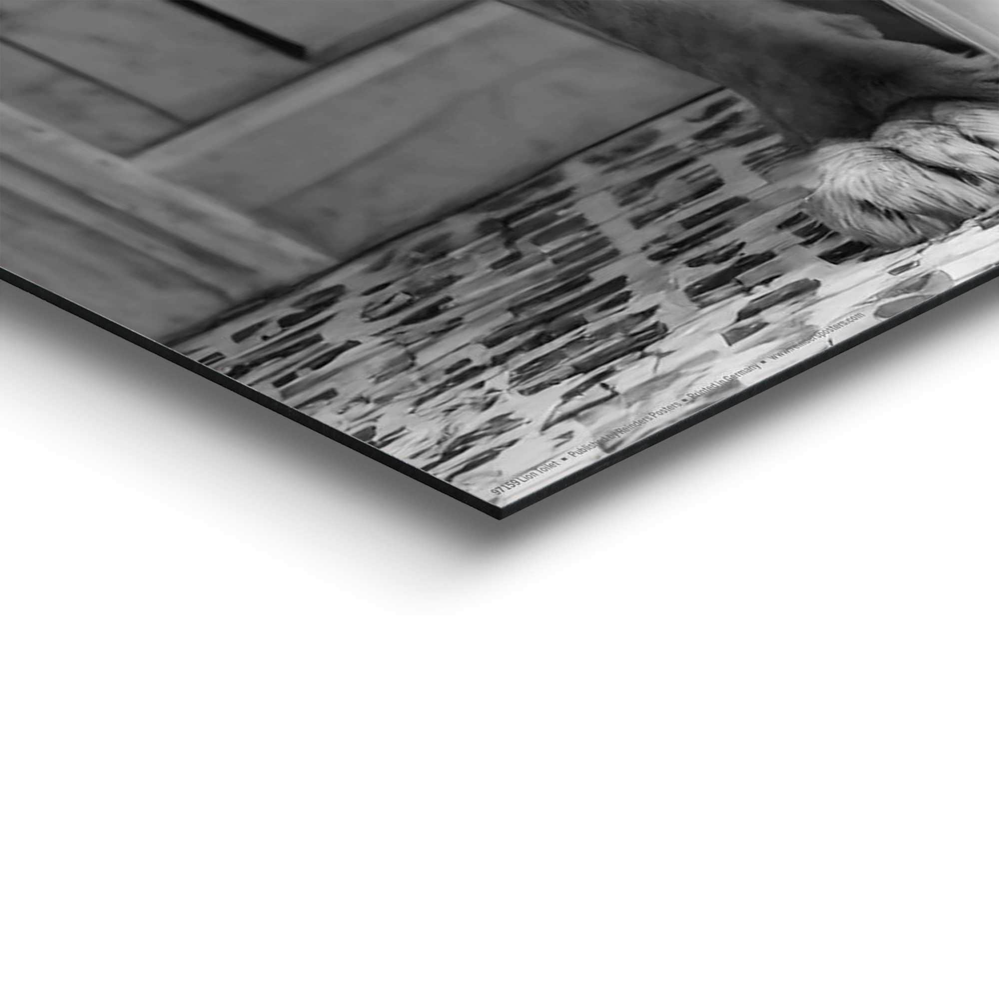 Reinders! Deco-Panel »Löwe auf Toilette« Toilette - Schwarz-Weiss - MDF - Tiere - 40x50 cm