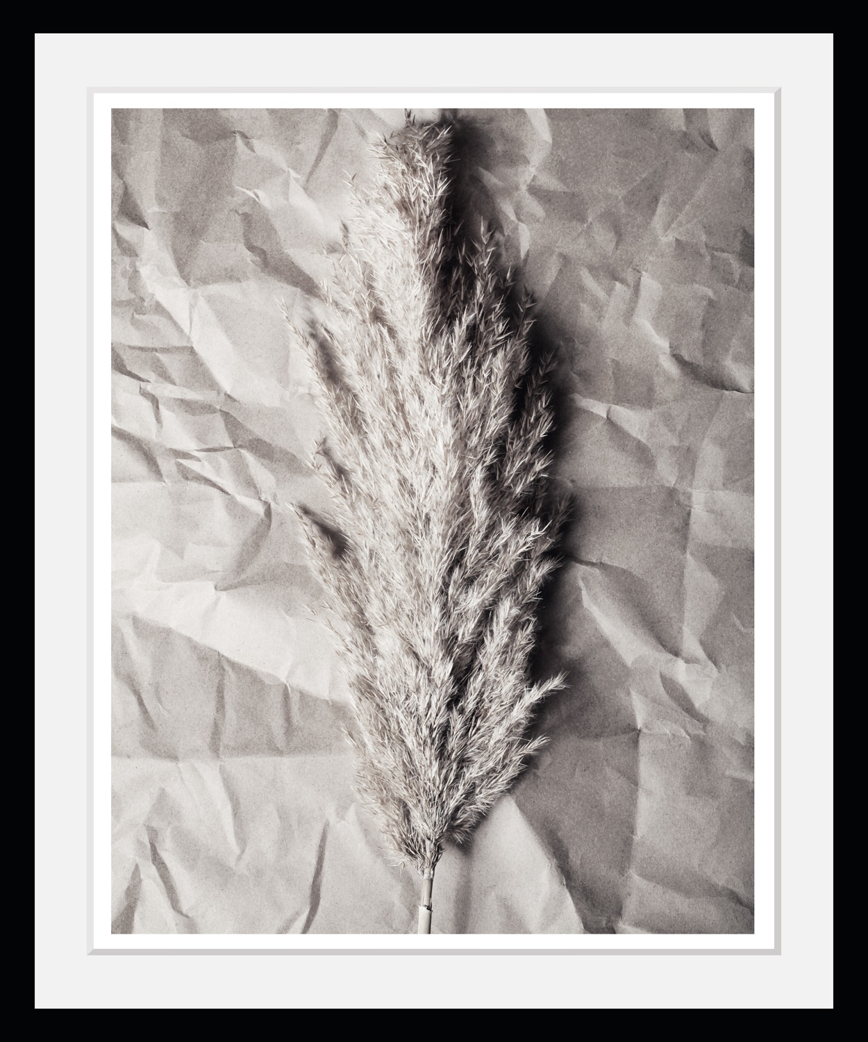 GOODproduct Bild mit Rahmen »Pampasgras - Gerahmter Digitaldruck - Wandbild« 1 Stk. tlg. Holzrahmen - Dekoration