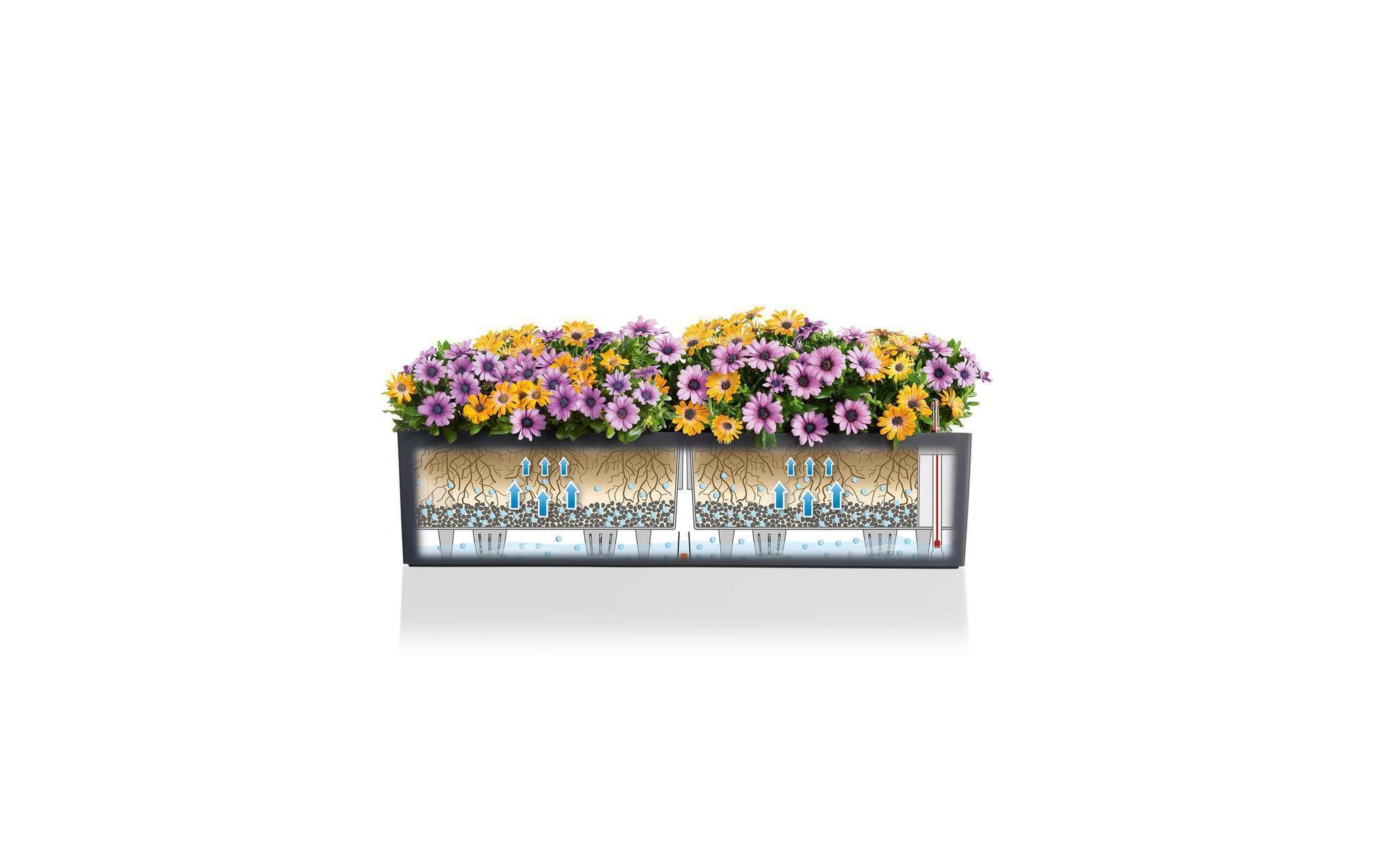   Übertopf »Balconera Color Braun«