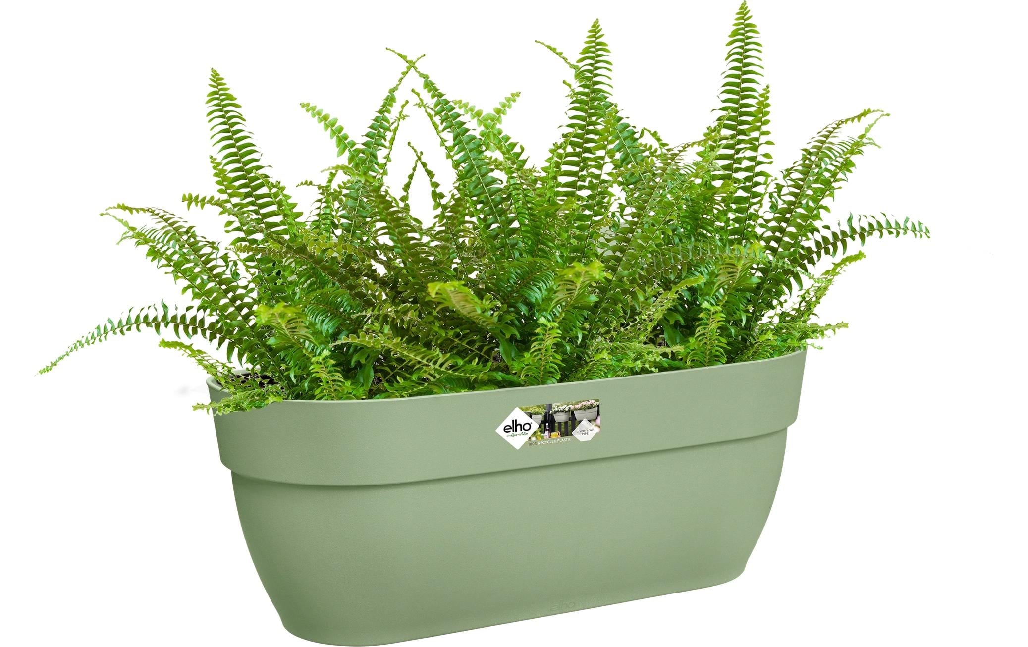 Elho Pot de fleurs »Vibia Campana Easy Aufhänger Gross«