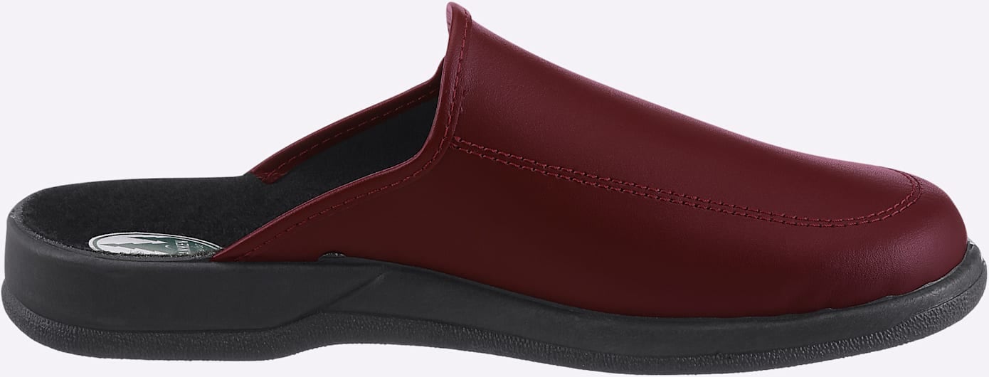 Franken-Schuhe Pantoufles