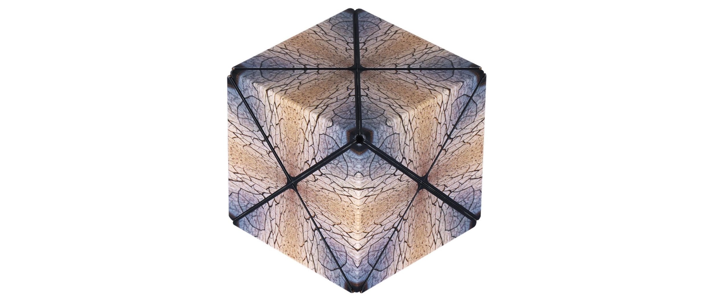   Puzzle 3D »Duomoto Geduldsspiel Duomoto Parched«