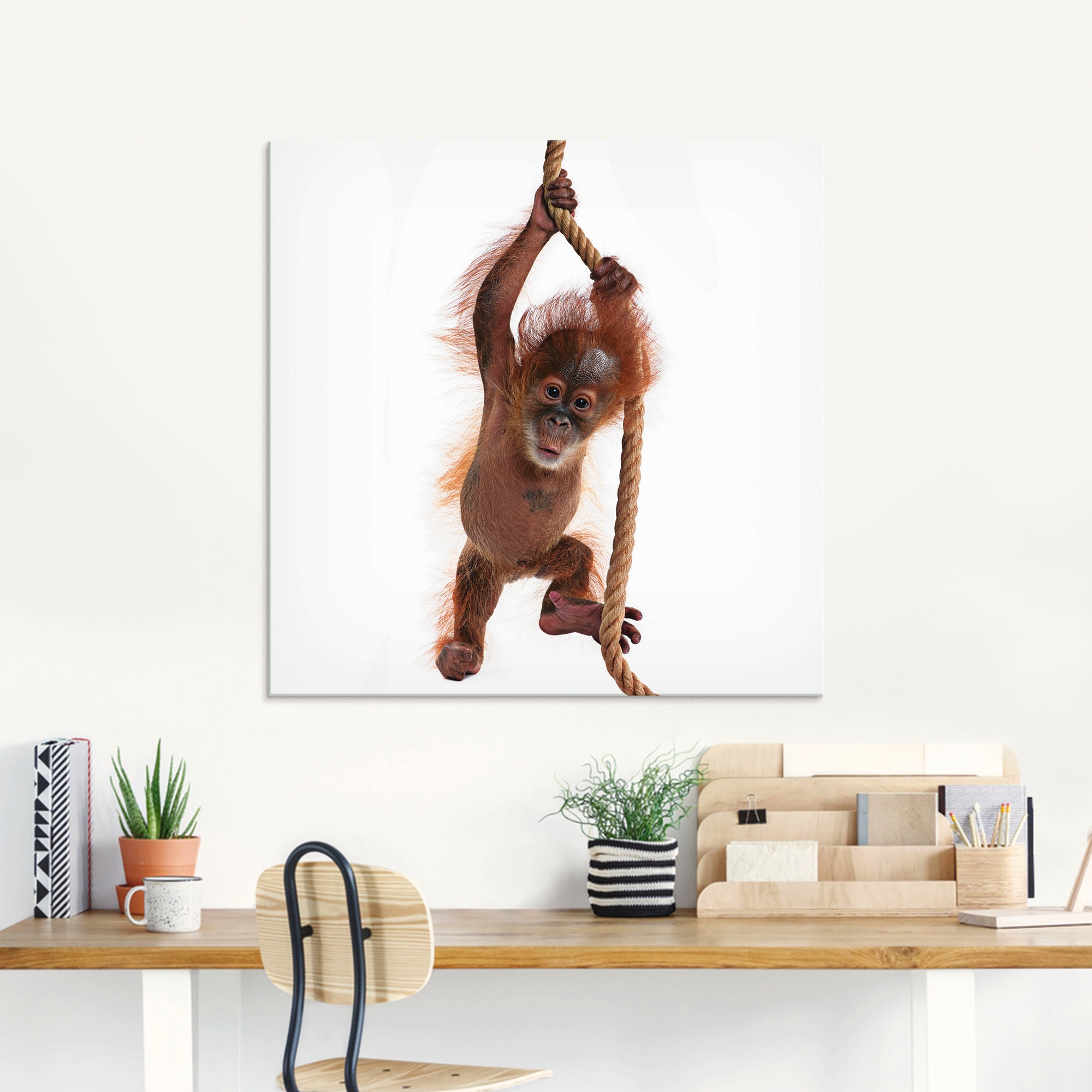 Artland Glasbild »Baby Orang Utan hängt am Seil I« Wildtiere 1 Stk. tlg. in verschiedenen Grössen