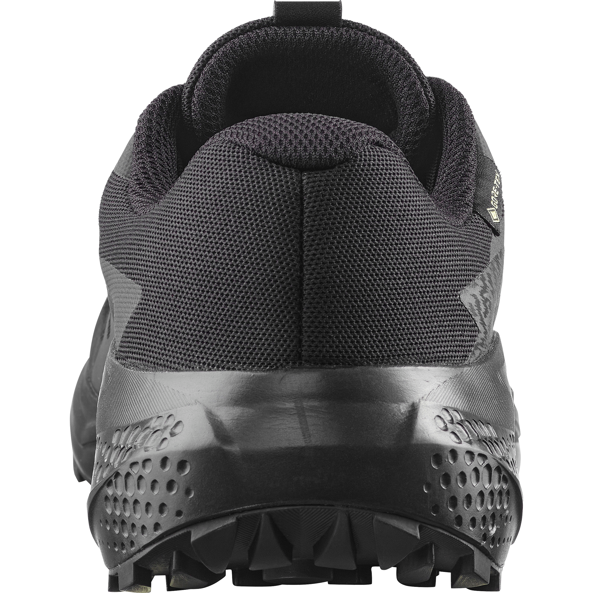 Salomon Chaussures de trail »ALPHAGLIDE GTX W«  étanche