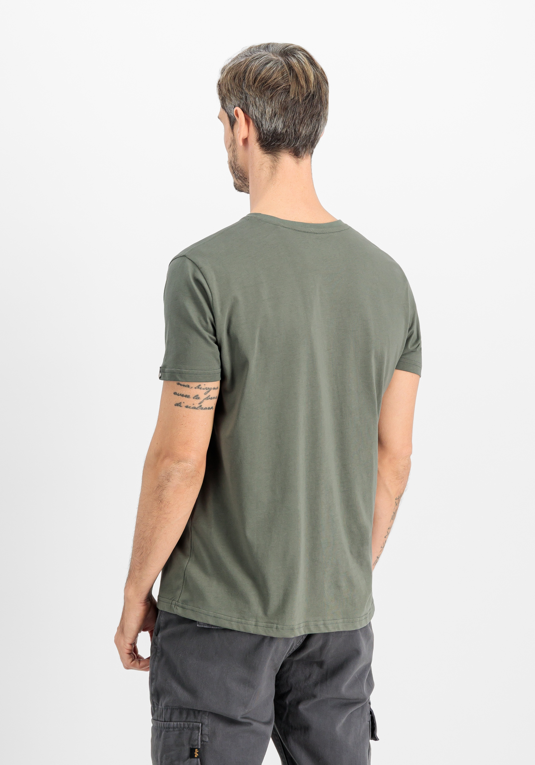 Alpha Industries T-shirt »Basic T-Shirt BL Rainbow Ref.«