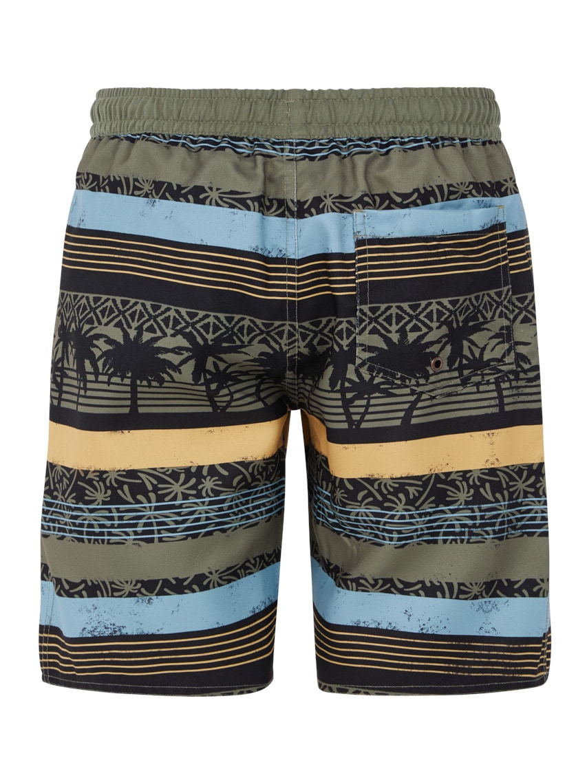 Protest Maillot de bain »Badehose PRTFRISBY JR«