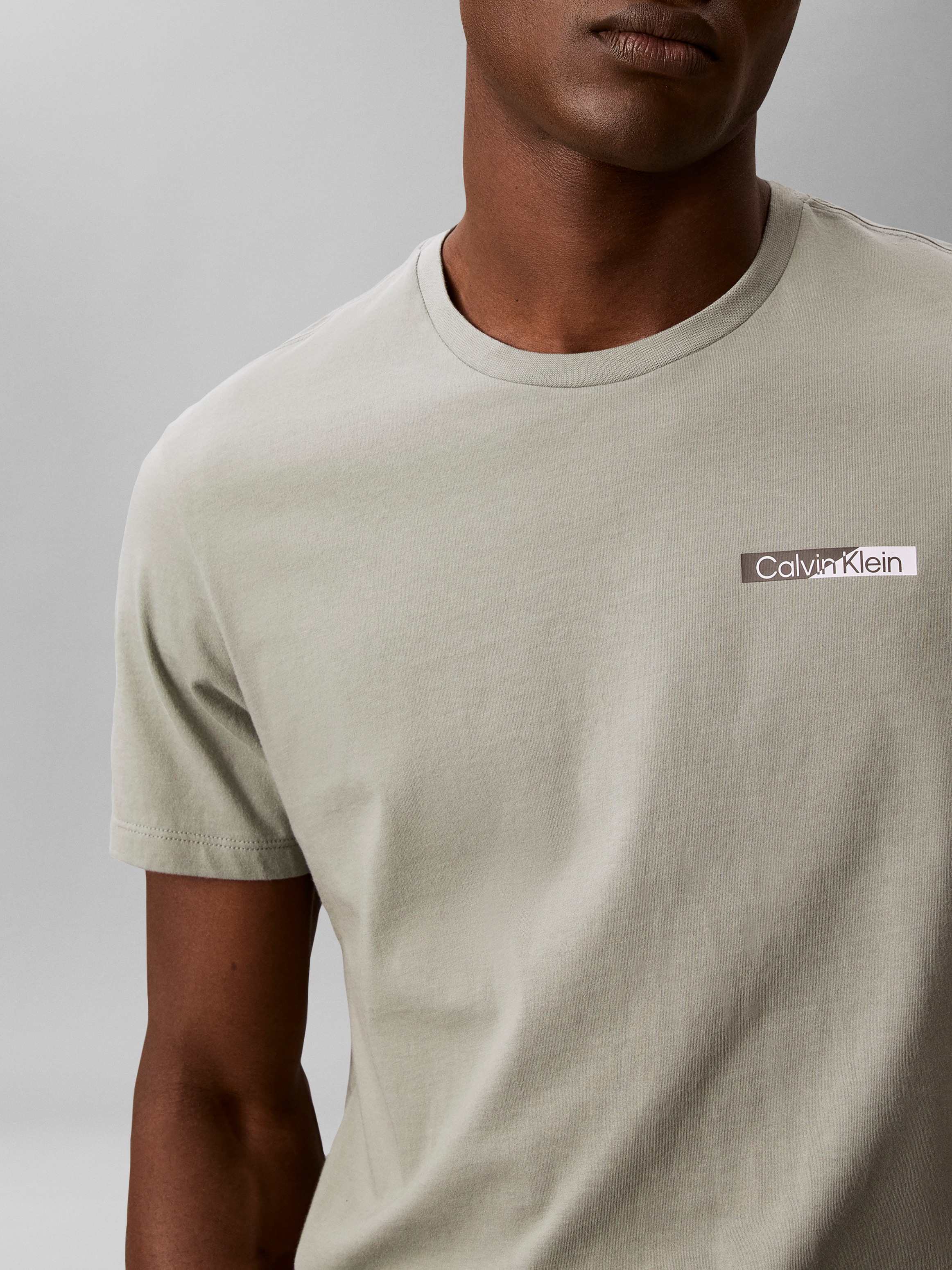 Calvin Klein T-Shirt reine Baumwolle, Regular Fit, Brust- und Rückendruck