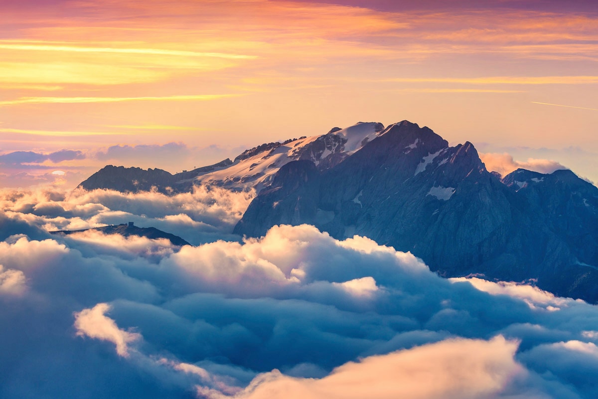 Papermoon Fototapete »Rosen«