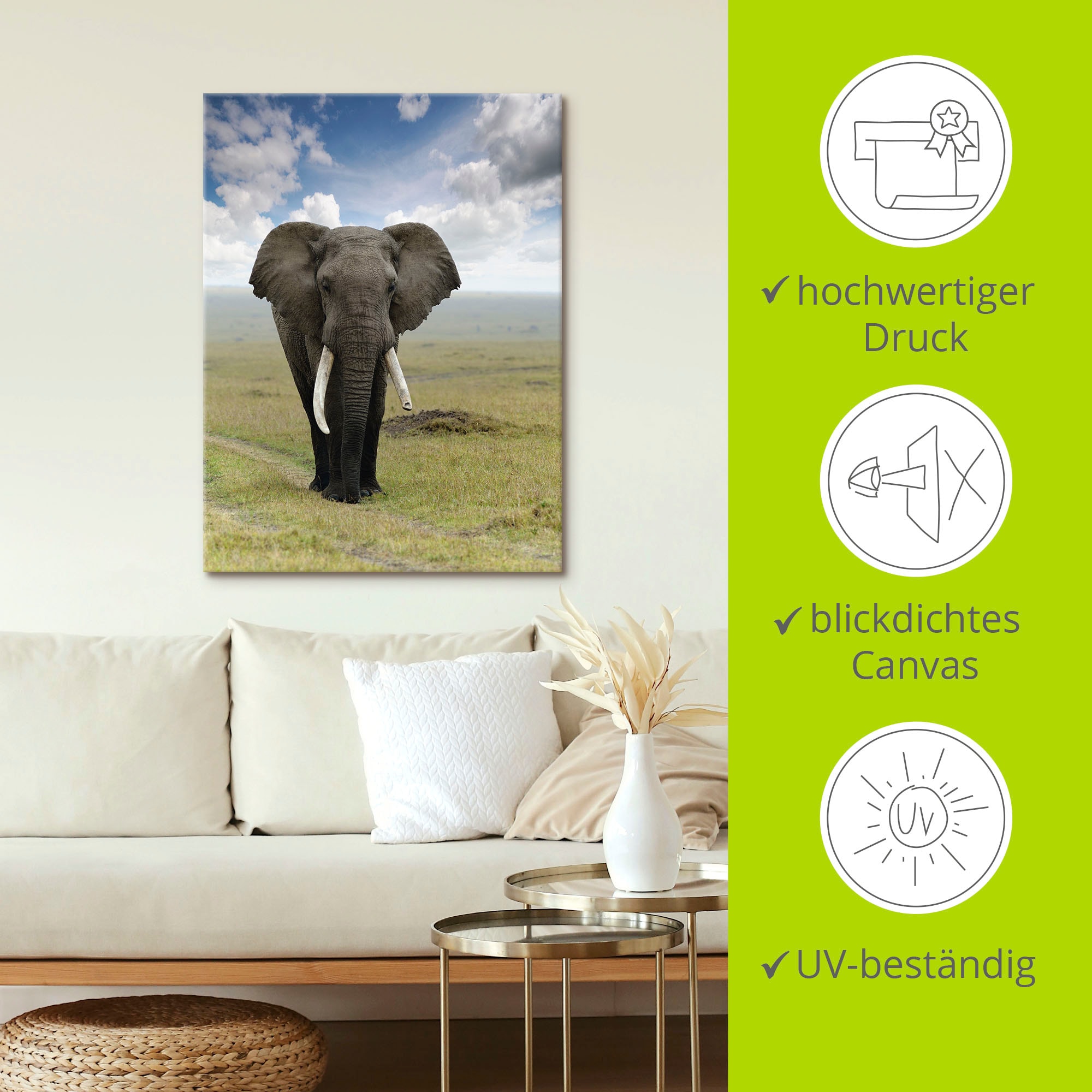Artland Fresque murale »Elefant« 1 cuis tlg. als Alubild, Leinwandbild in verschied. Grössen