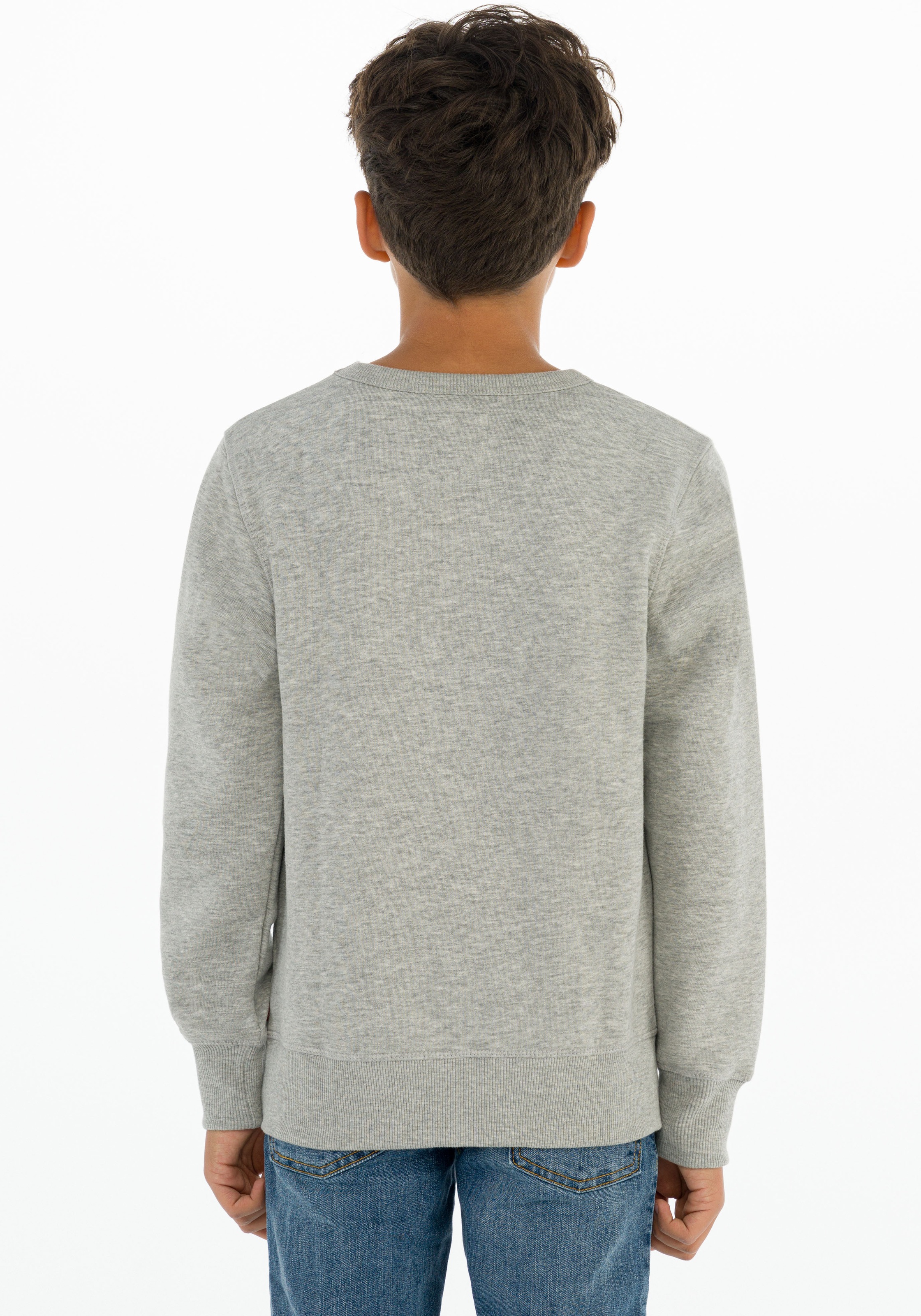 Levi's® Kids Sweatshirt »LVB LVB FRENCH TERRY BATWING«, mit grossem Logo

