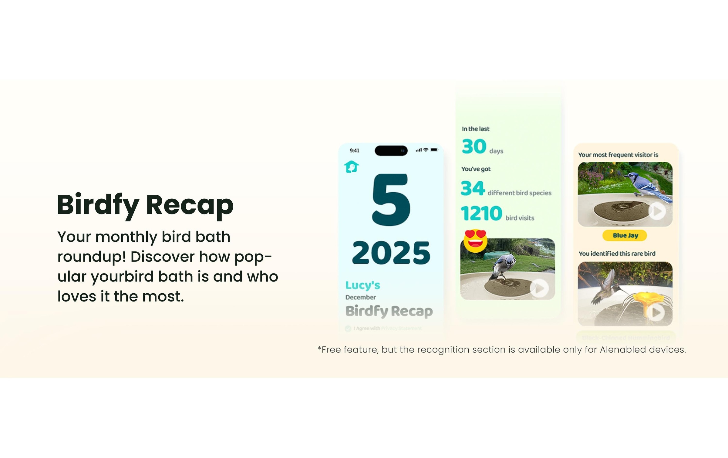 Birdfy Mangeoire pour oiseaux »Vogelbad mit Kamera« Solarbetrieben, KI und Video Vogelerkennung