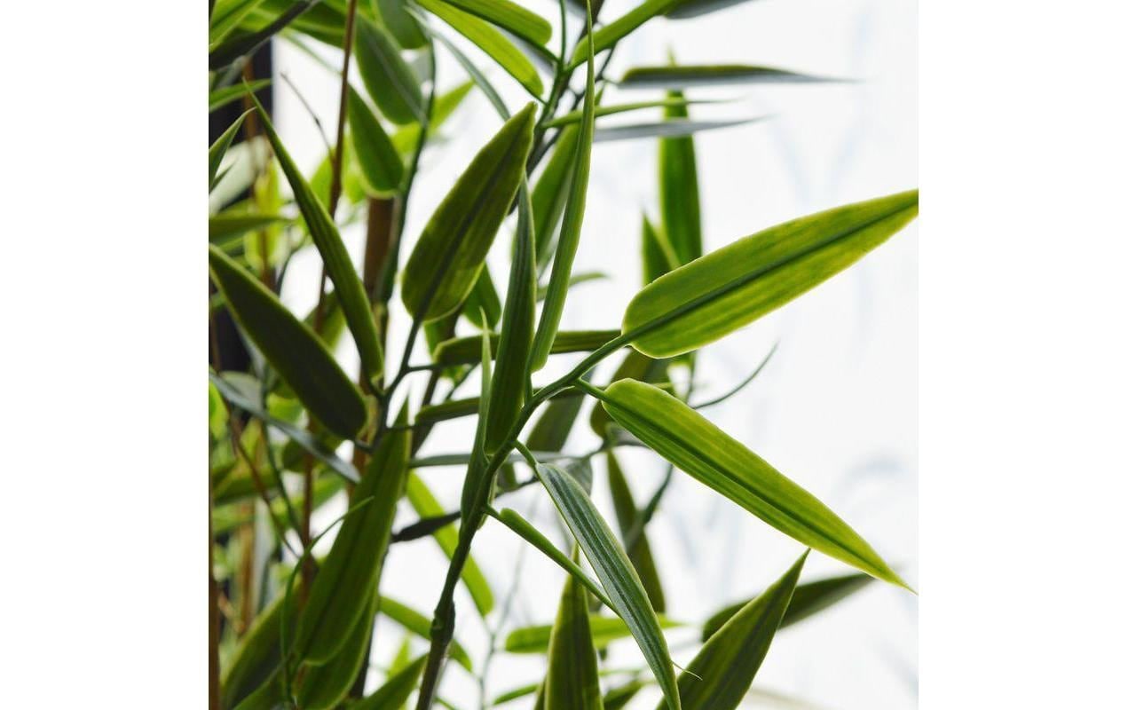Botanic-Haus Fleur artificielle »Bambus Japanisch, UV-Bestand.«
