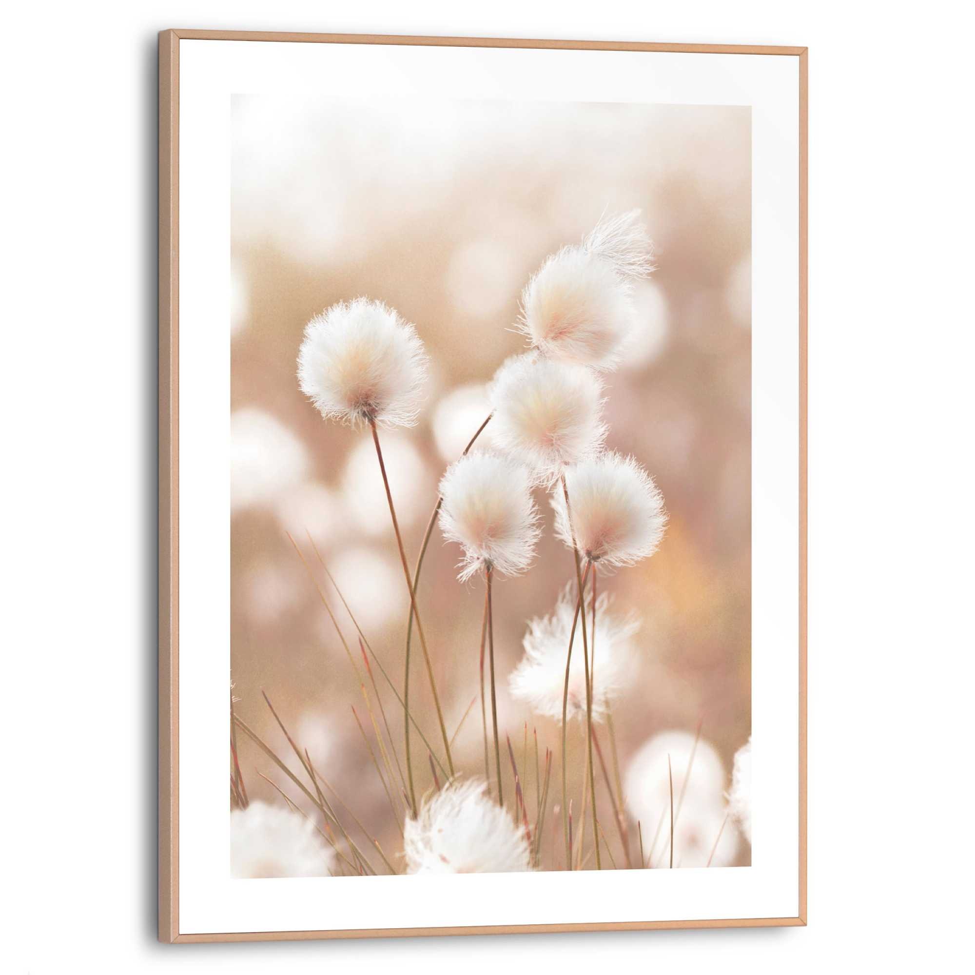 Reinders! Bild mit Rahmen »Cotton Pops«