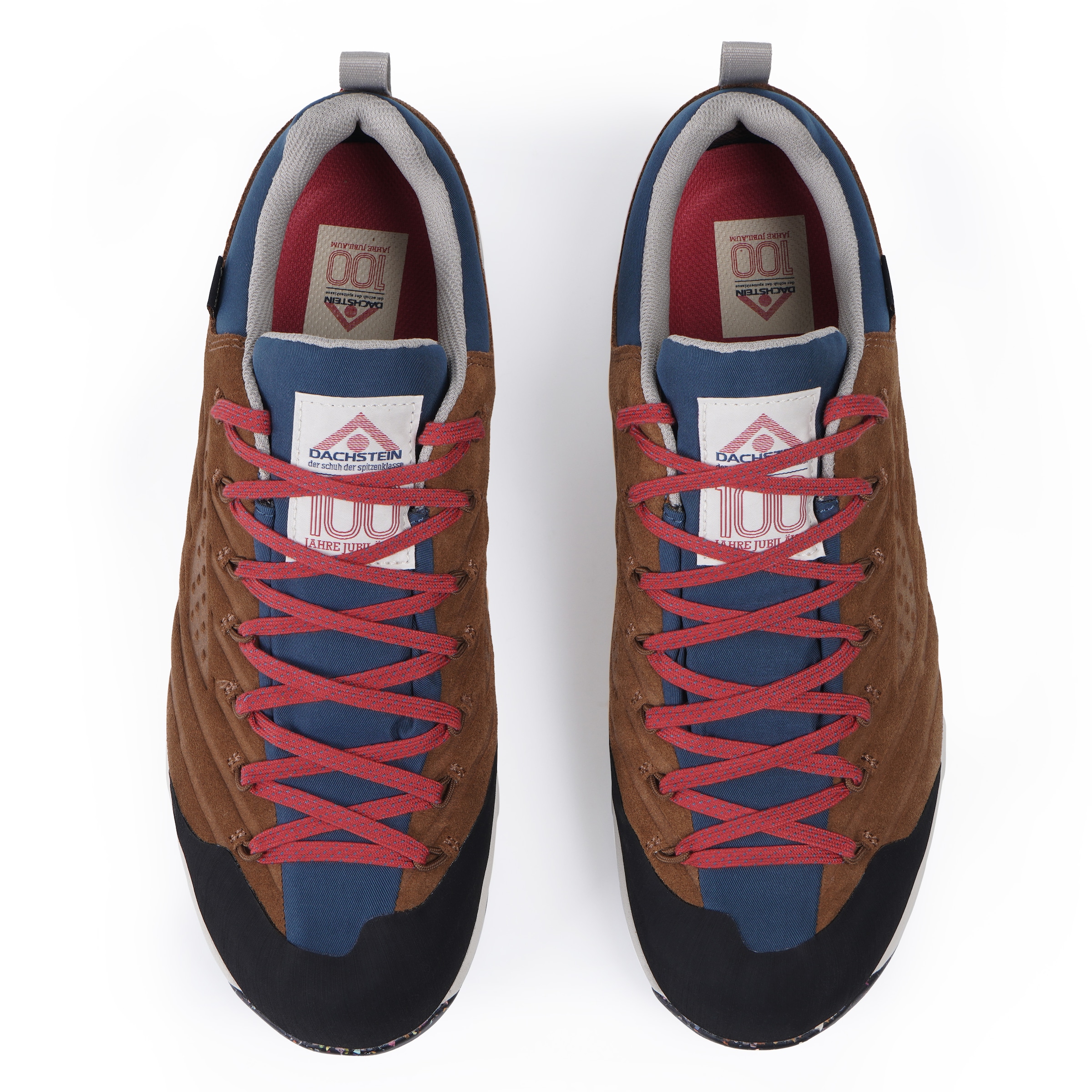 Dachstein Wanderschuh »SF-21 GORE-TEX 1925«  wasserdicht