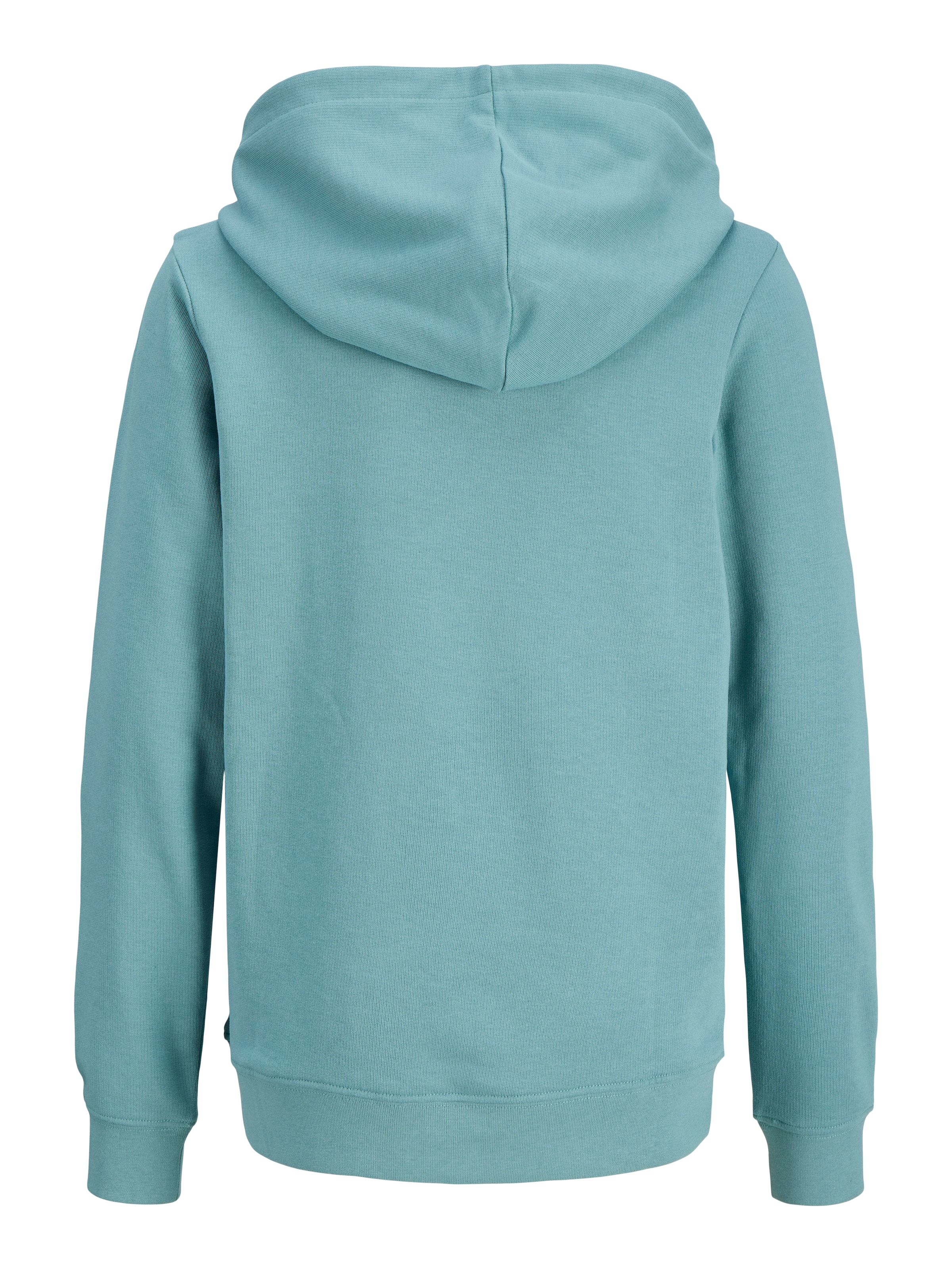 Jack & Jones Junior Kapuzensweatshirt »JJCOLE PRINT SWEAT HOOD JNR«, mit Logoprint
