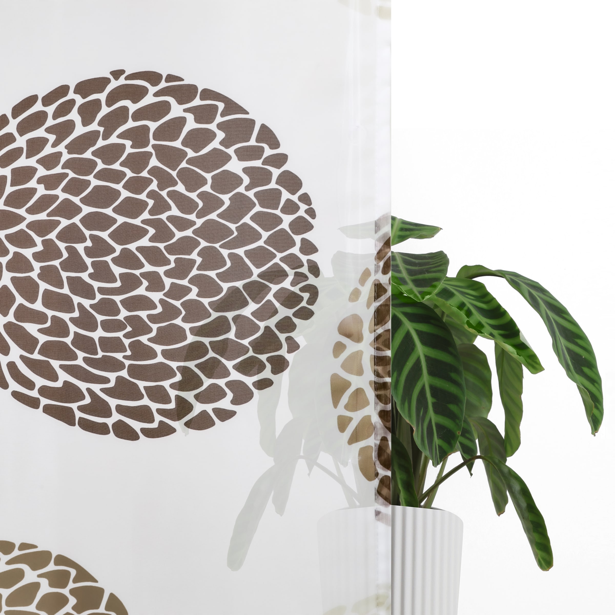 GOODproduct Raffrollo »Belem« mit Schlaufen Transparent, Voile, Polyester